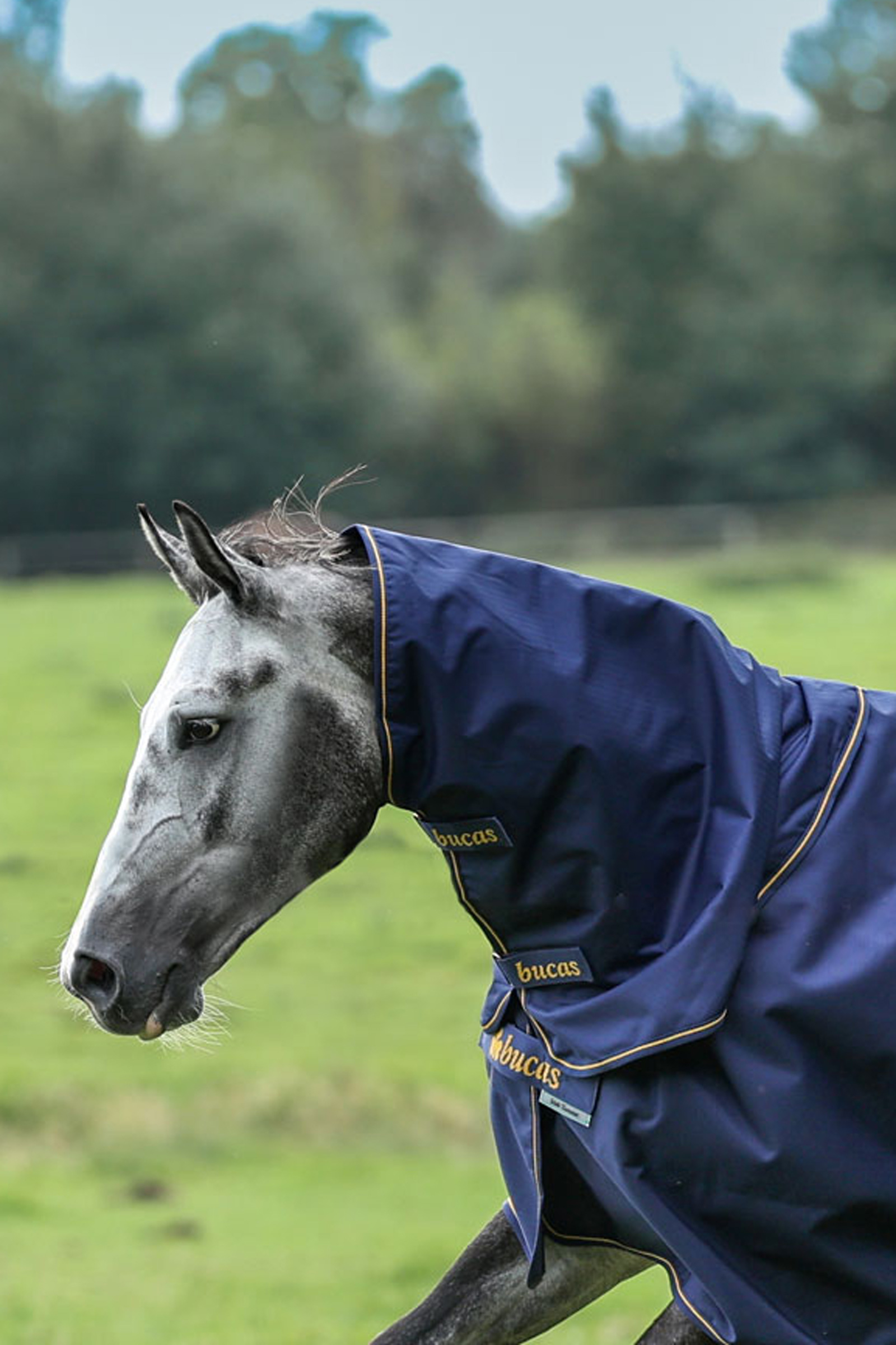 Bucas Irish Turnout halsstykke, 0g