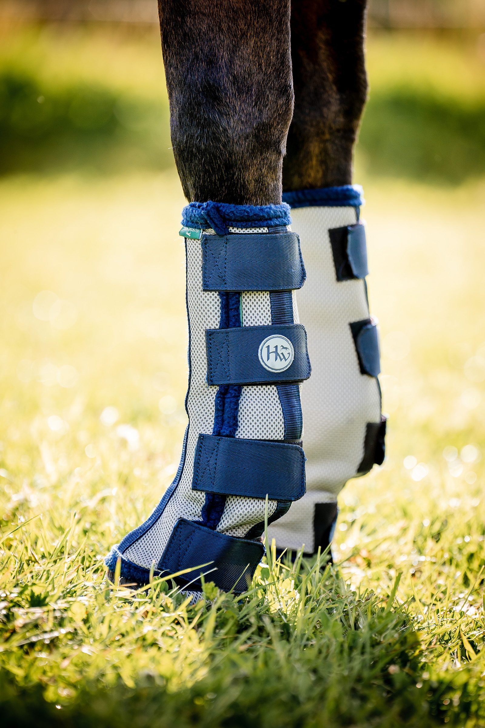 Silver/Dark Blue Horseware anti-flue boots til heste