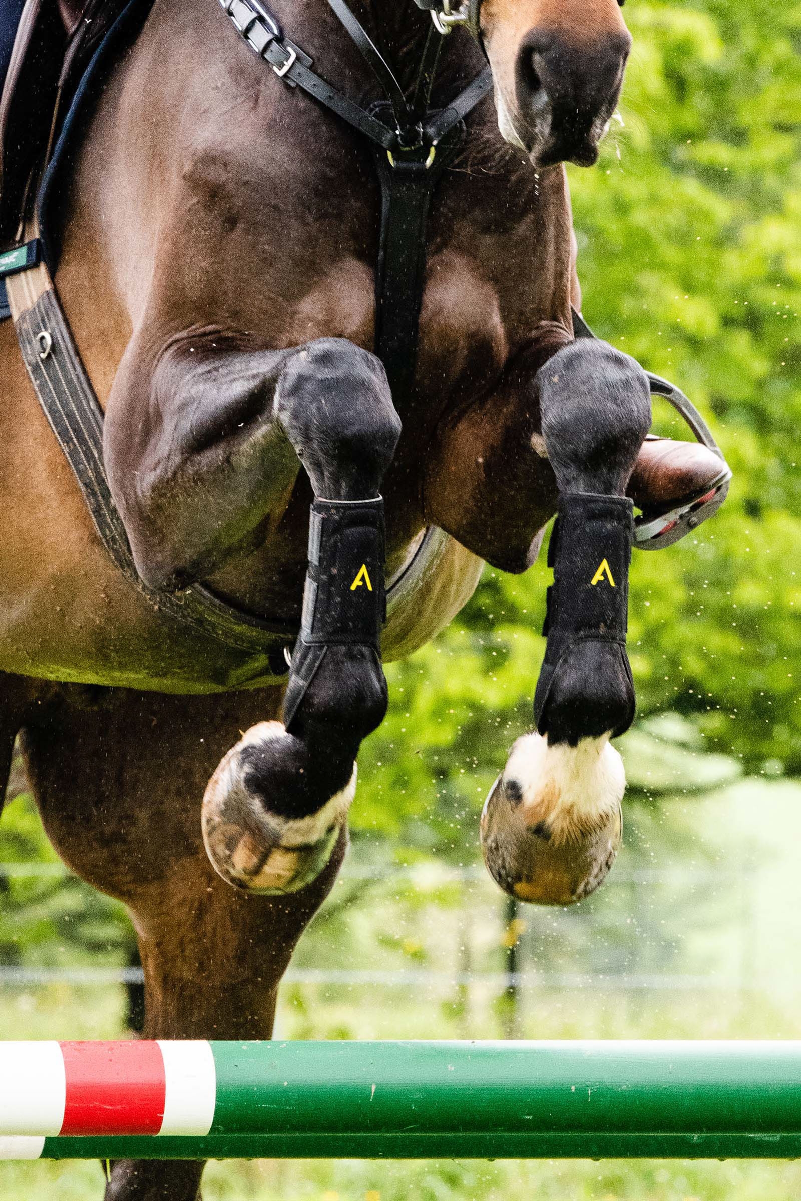 Horseware Adagio gamacher