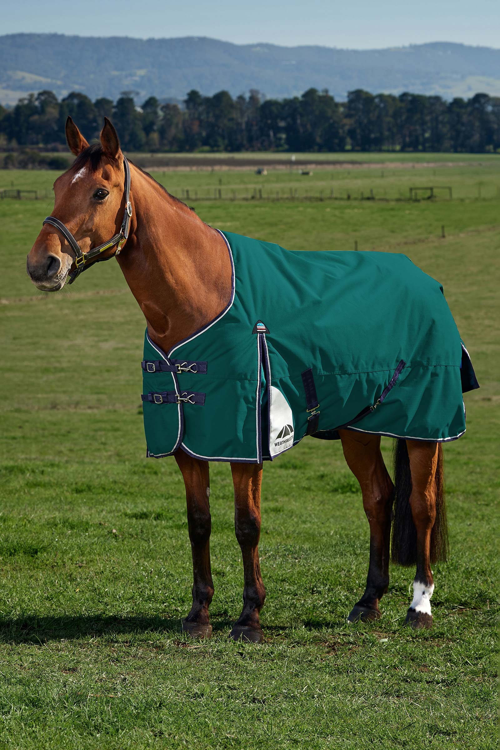 Weatherbeeta ComFiTecPlus Dynamic Turnout Standard Neck 0G