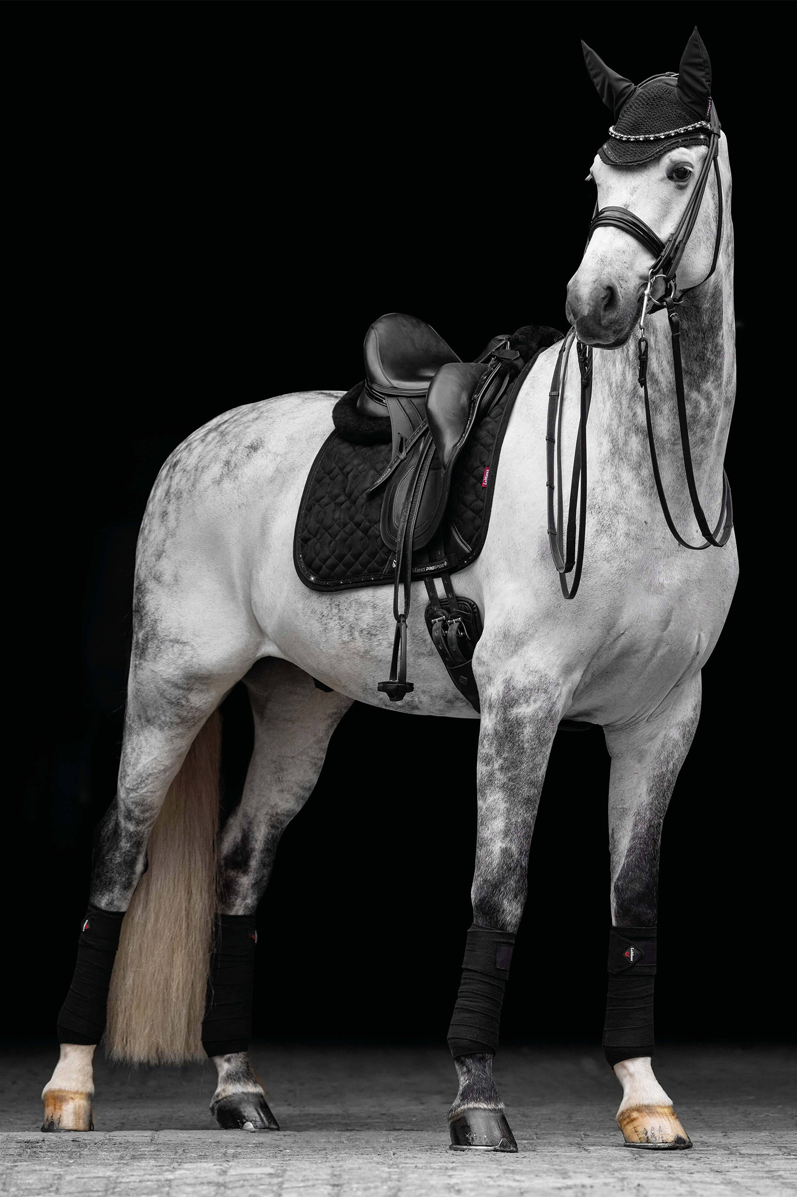 LeMieux Crystal Suede Dressurunderlag