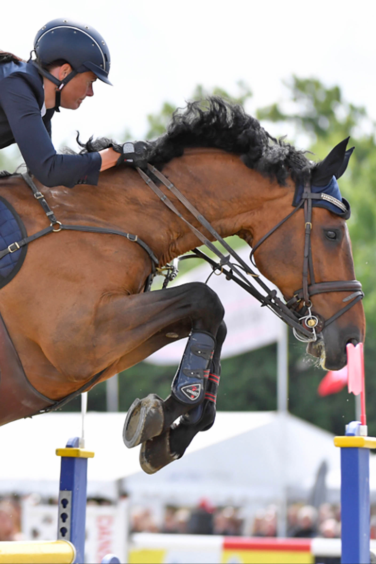 Catago FIR-Tech Gamacher