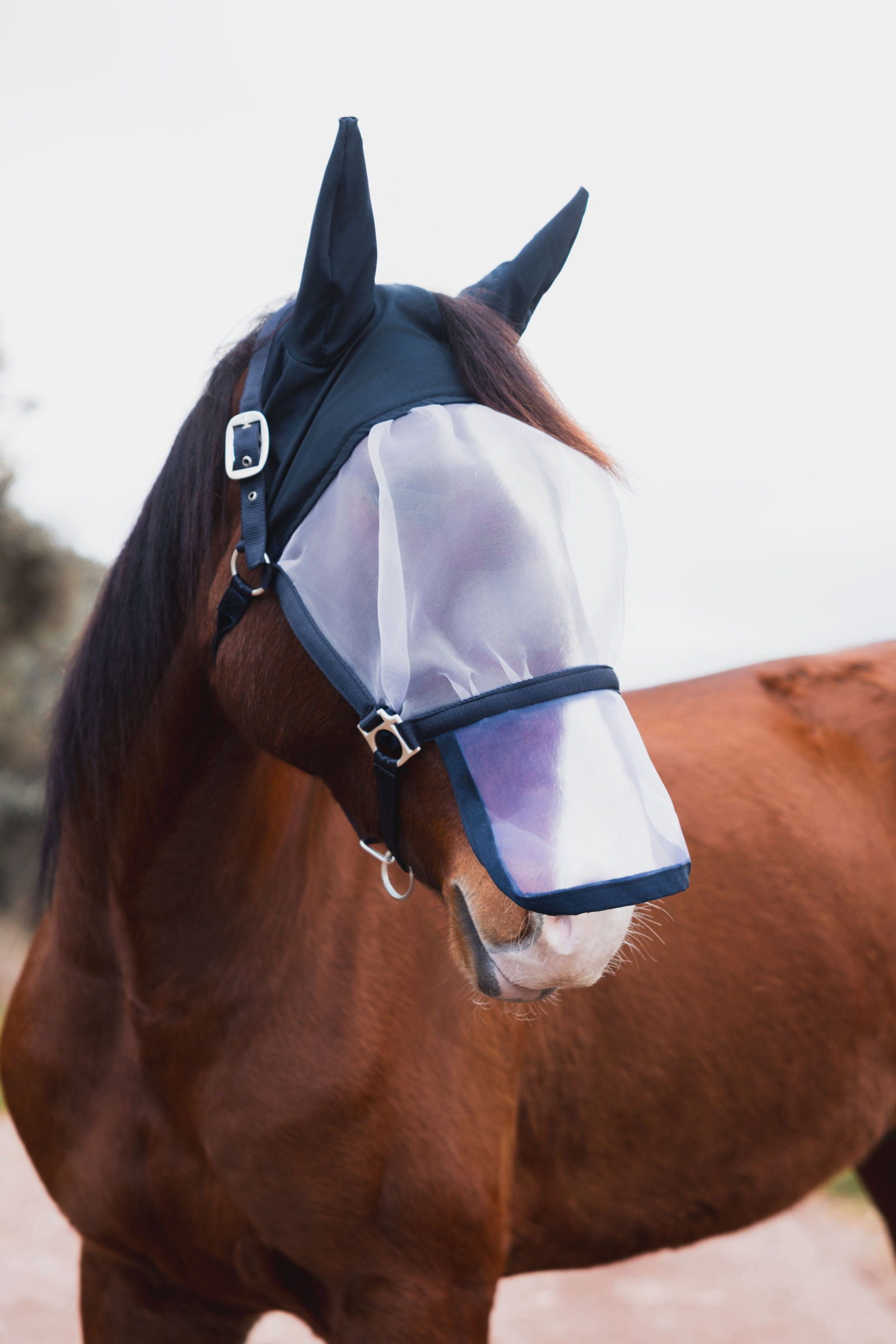 Horze Paso Fino grime med fluemaske  