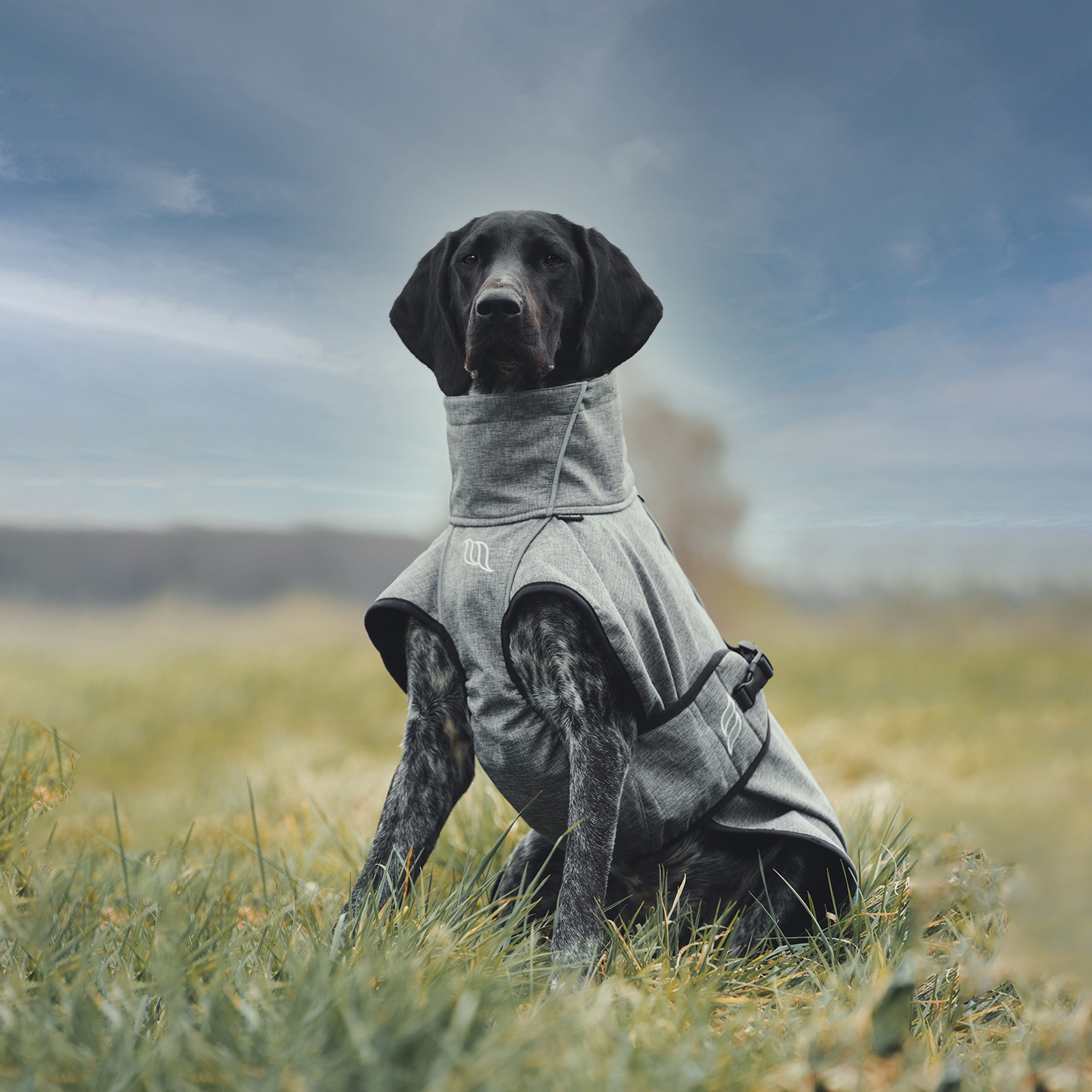 Back on Track Nella All-Round Dog Coat 55-65 cm