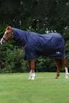 Saxon Defiant 600D Combo Neck Medium Turnout Rug, 200g