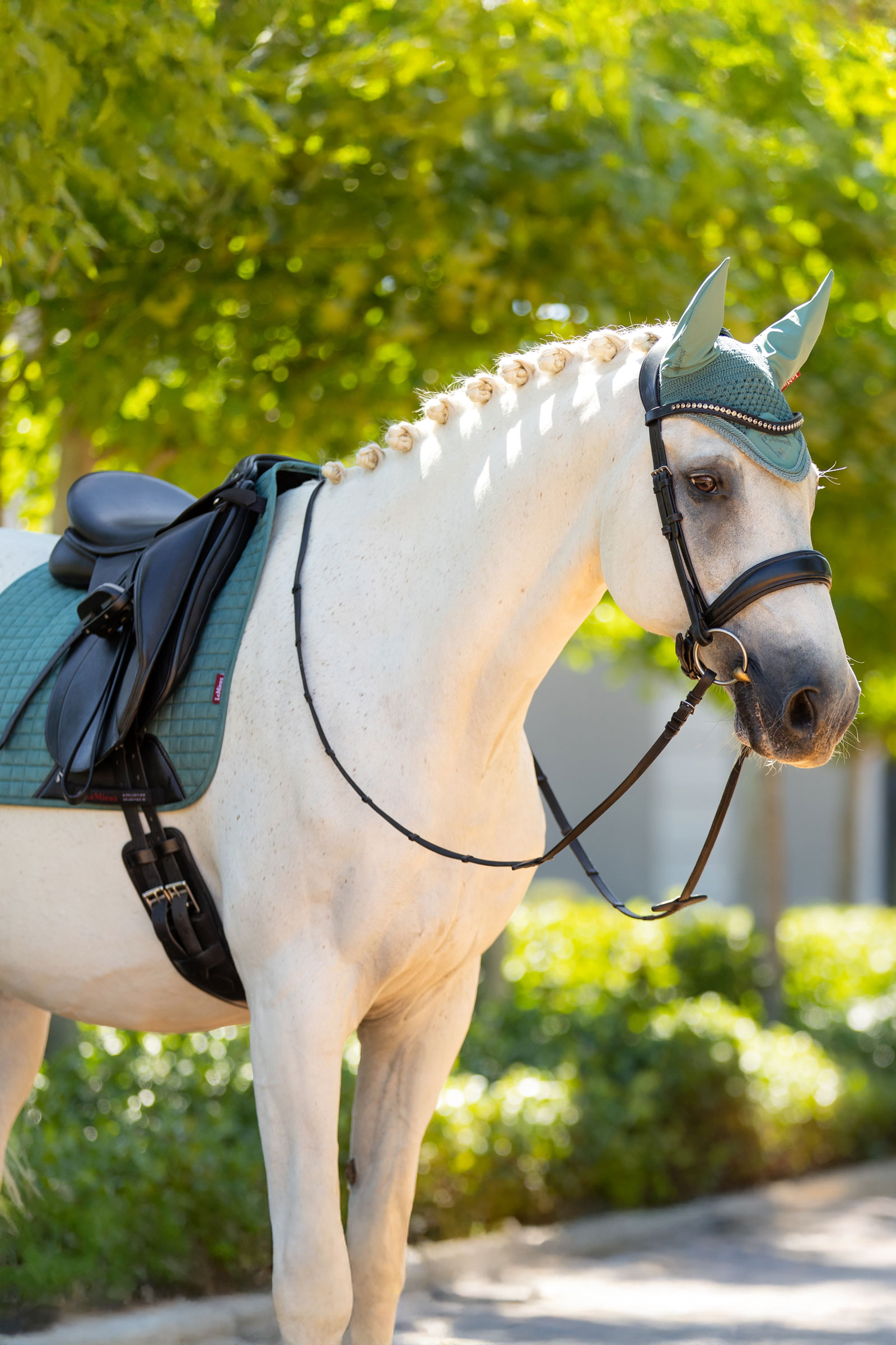 LeMieux Suede dressurunderlag