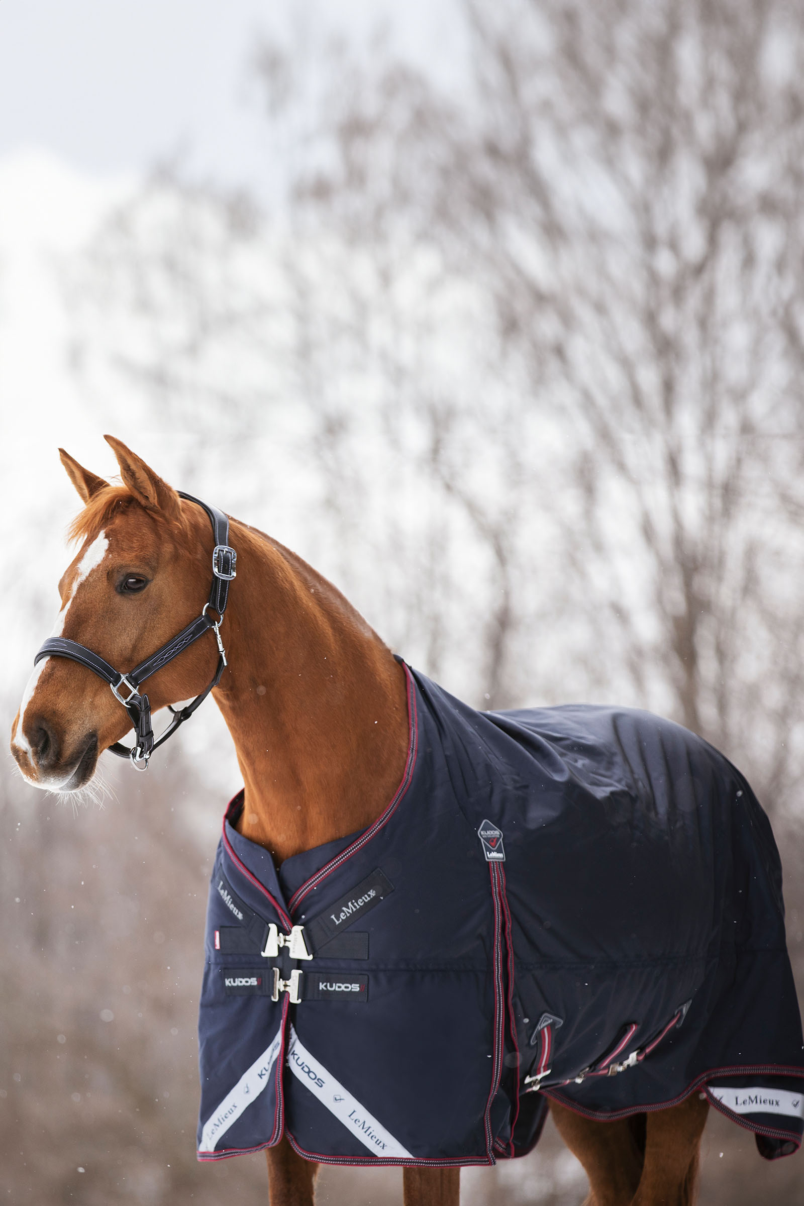 LeMieux Kudos lehk&aacute; v&yacute;běhov&aacute; deka, 100 g