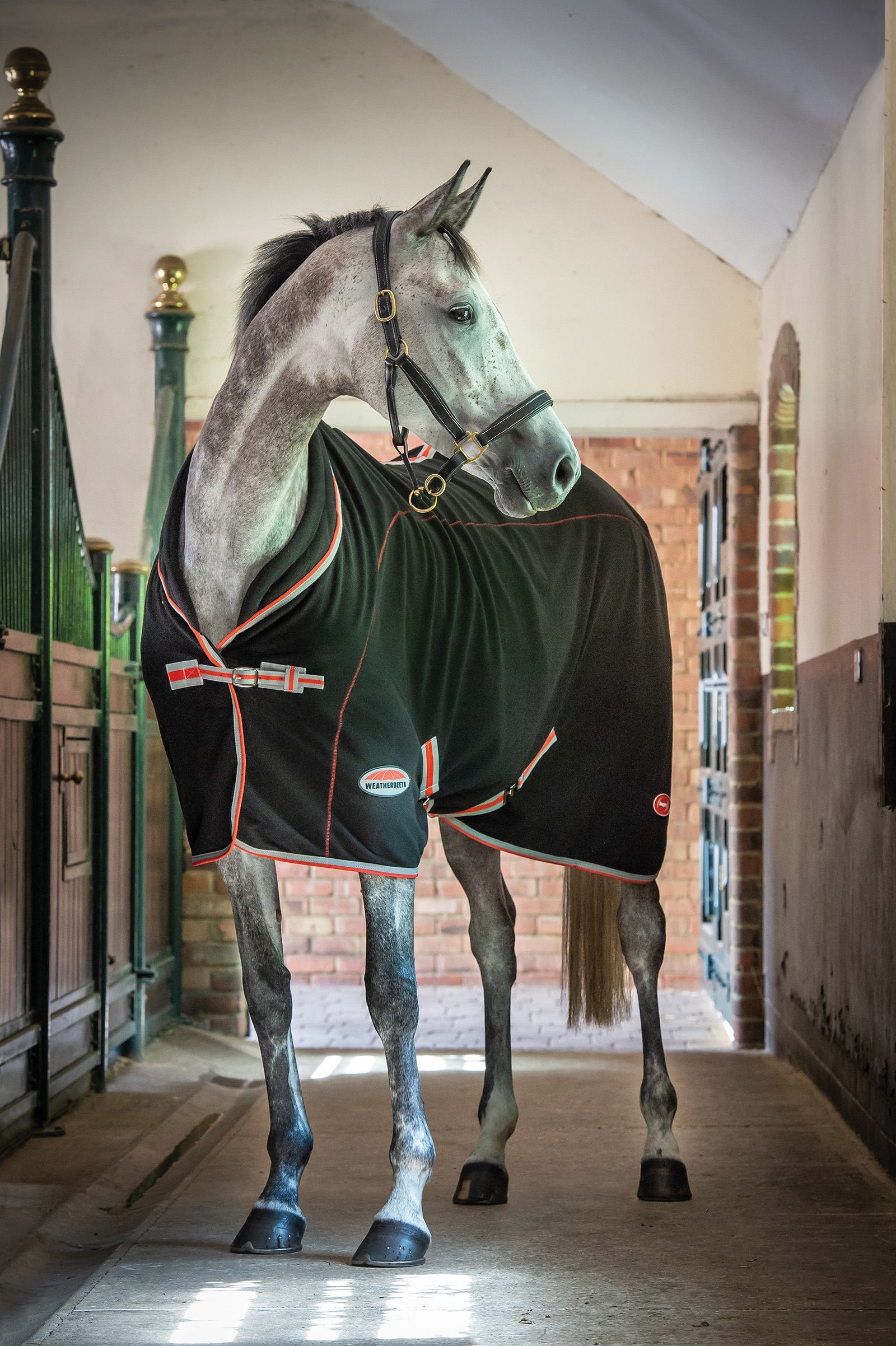 Weatherbeeta Therapy-Tec Standard Dækken