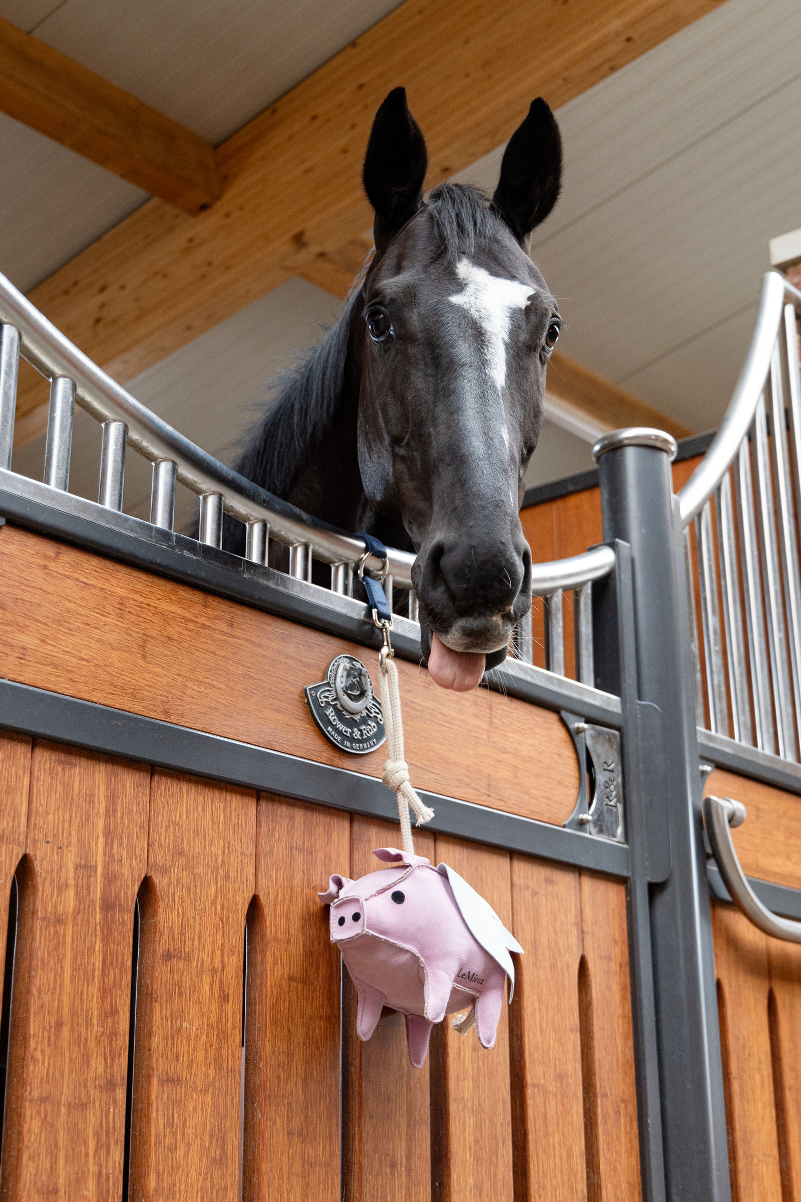 LeMieux hesteleget&oslash;j flyvende gris