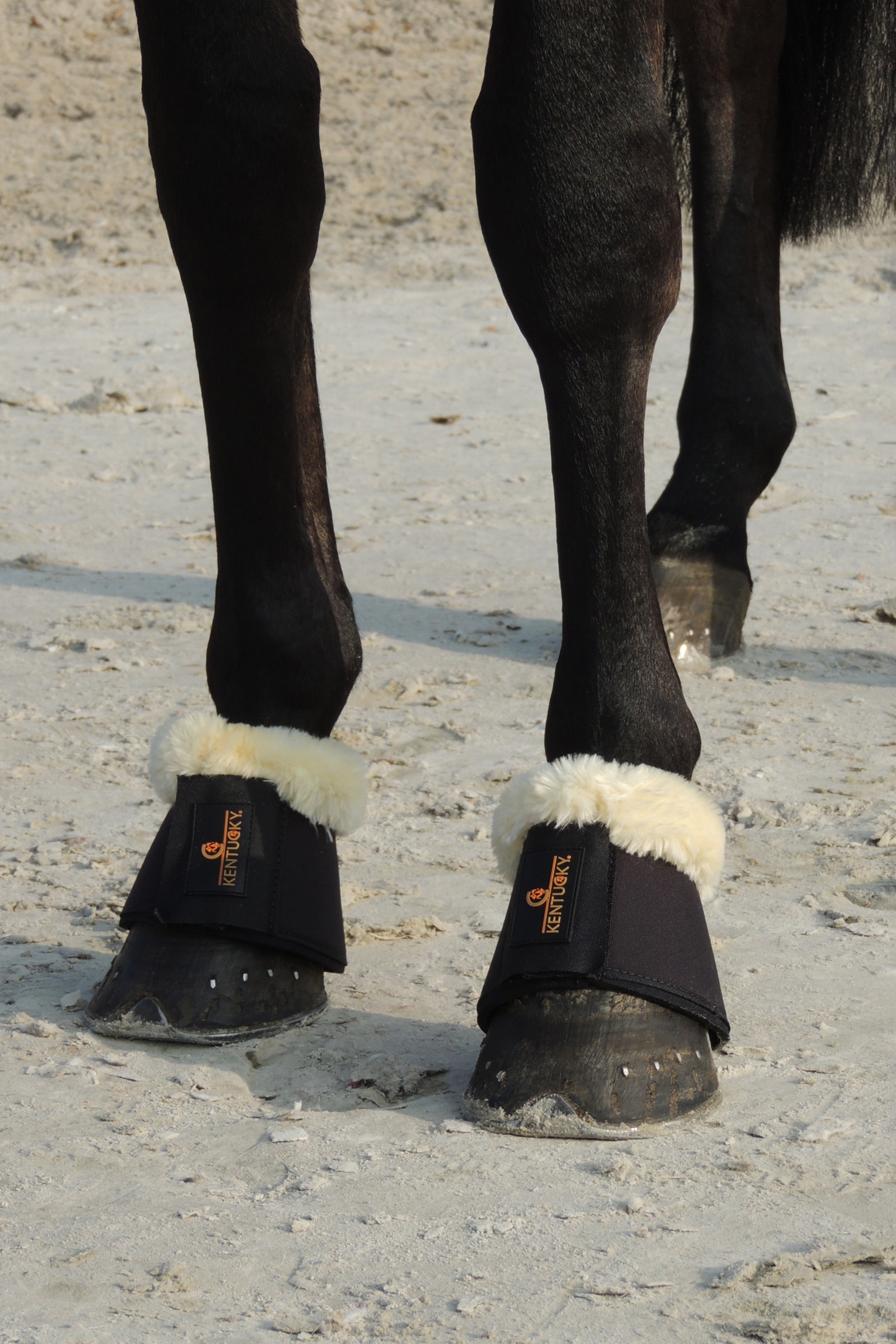 Kentucky Horsewear fåreskindskopper