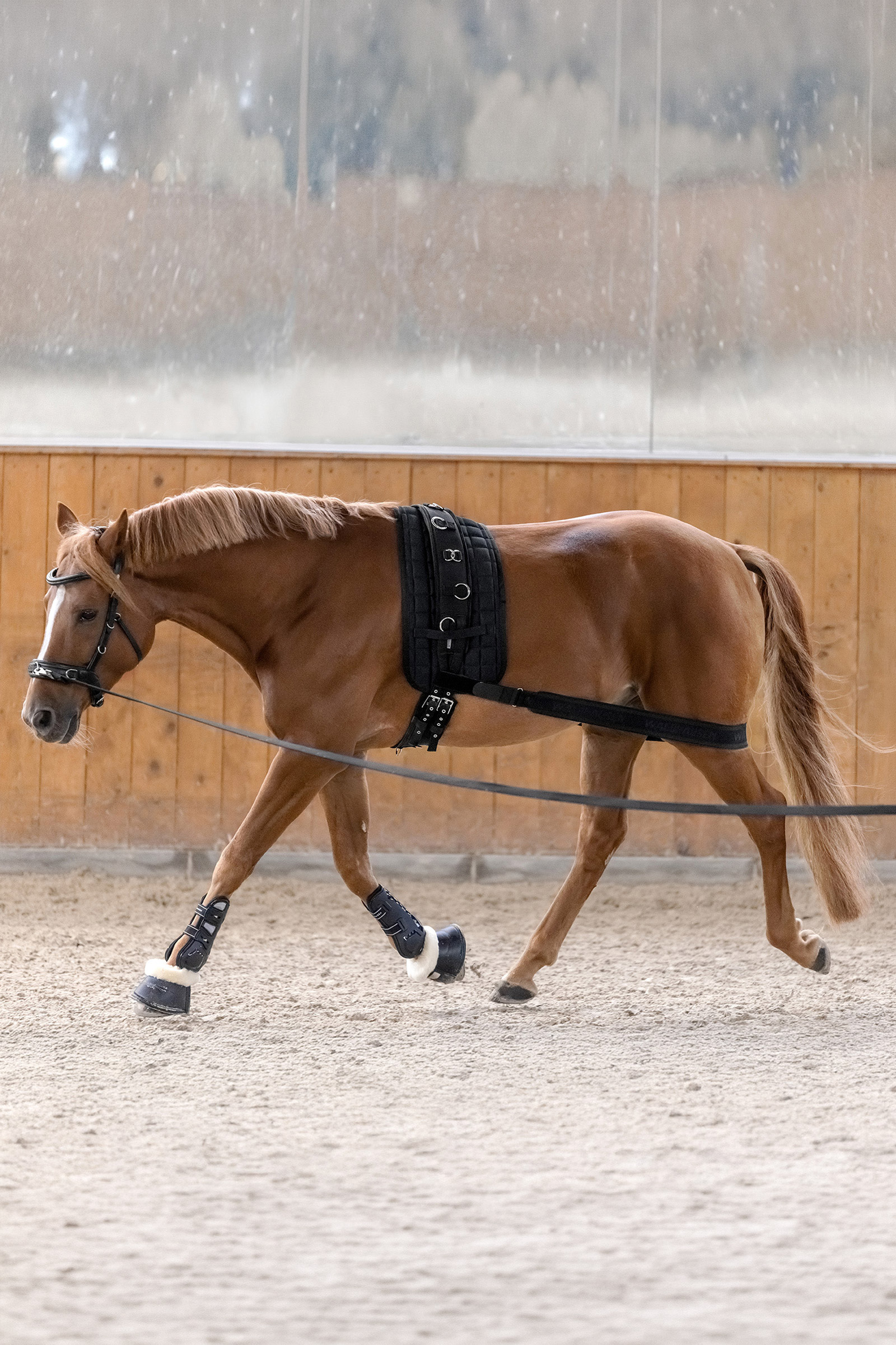Waldhausen body bandage til aktivering af bagparten