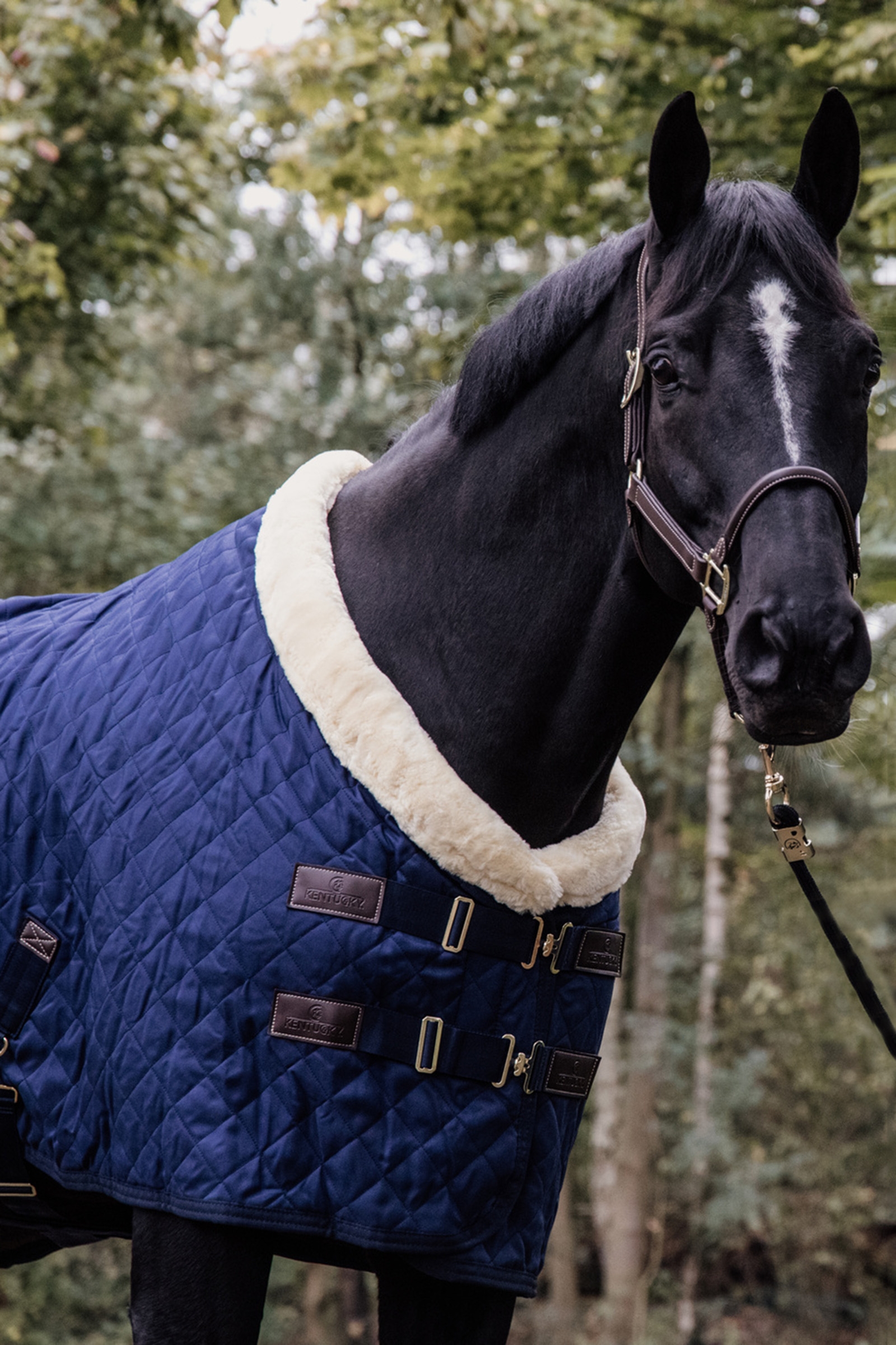Kentucky Horsewear stævnedækken, 160 g.