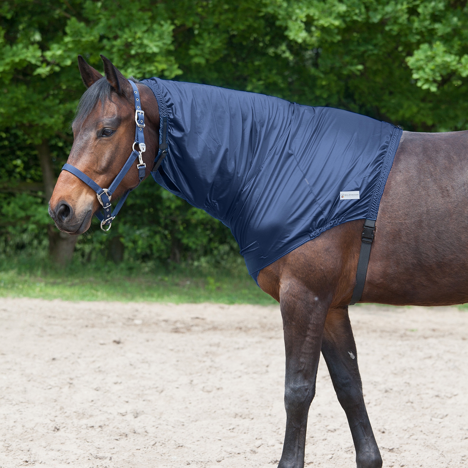 Waldhausen eksem halsstykke