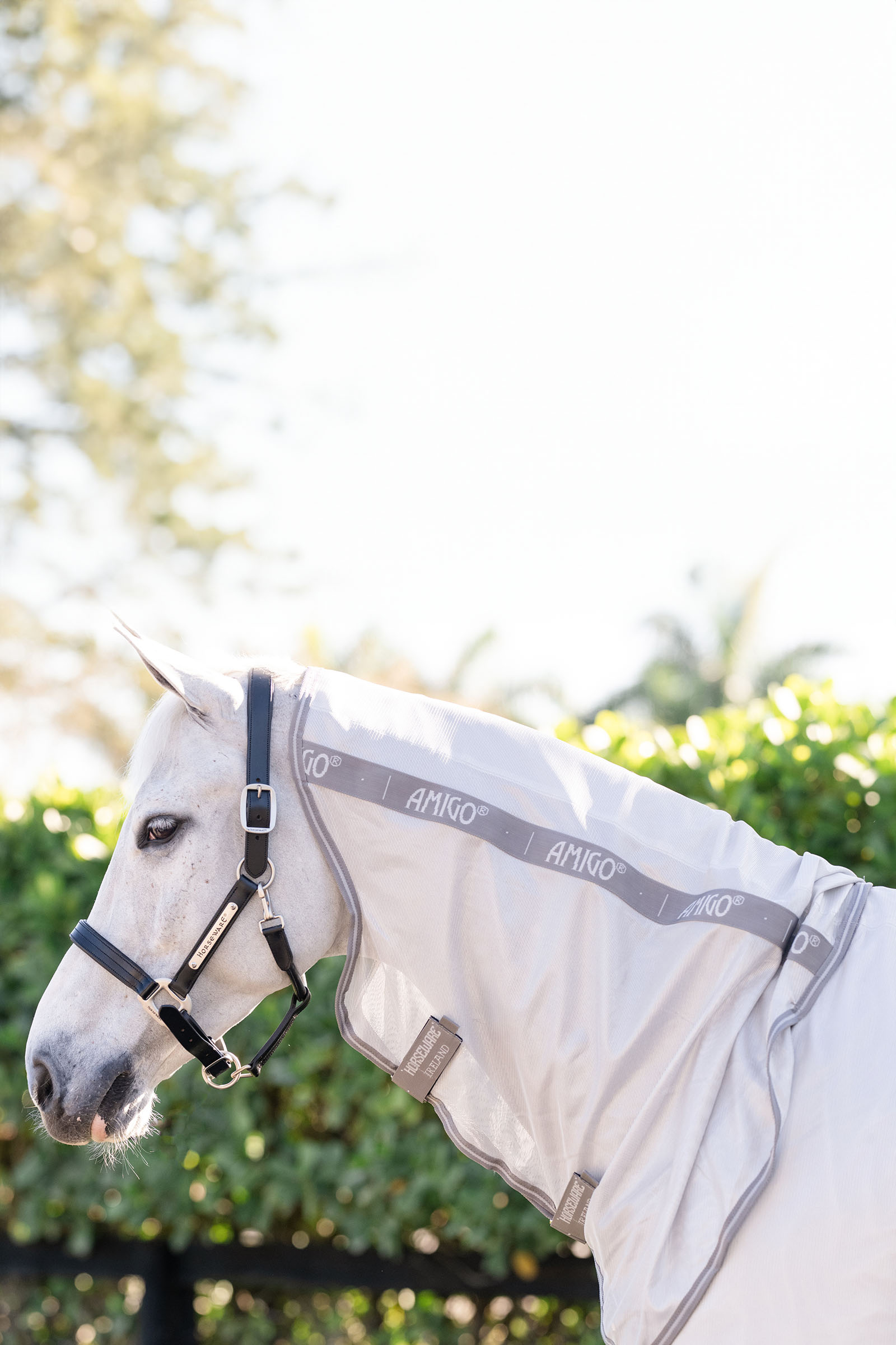 Horseware Amigo Integreret Fluedækken