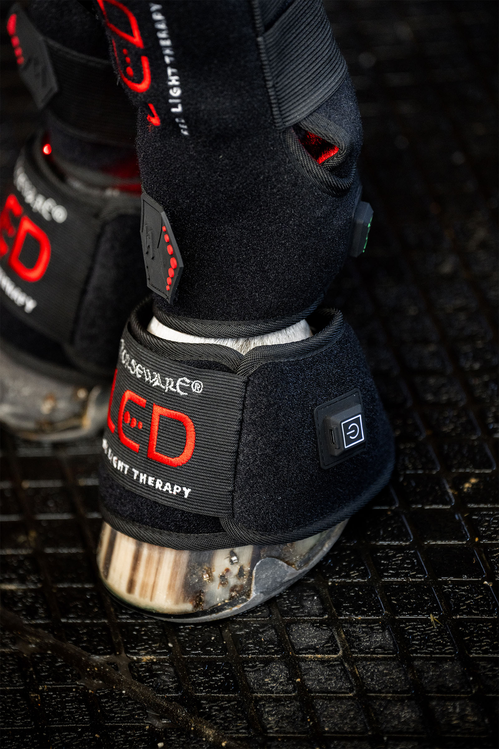 Horseware LED r&oslash;dlysterapi mini hesteboot (1 stk.)