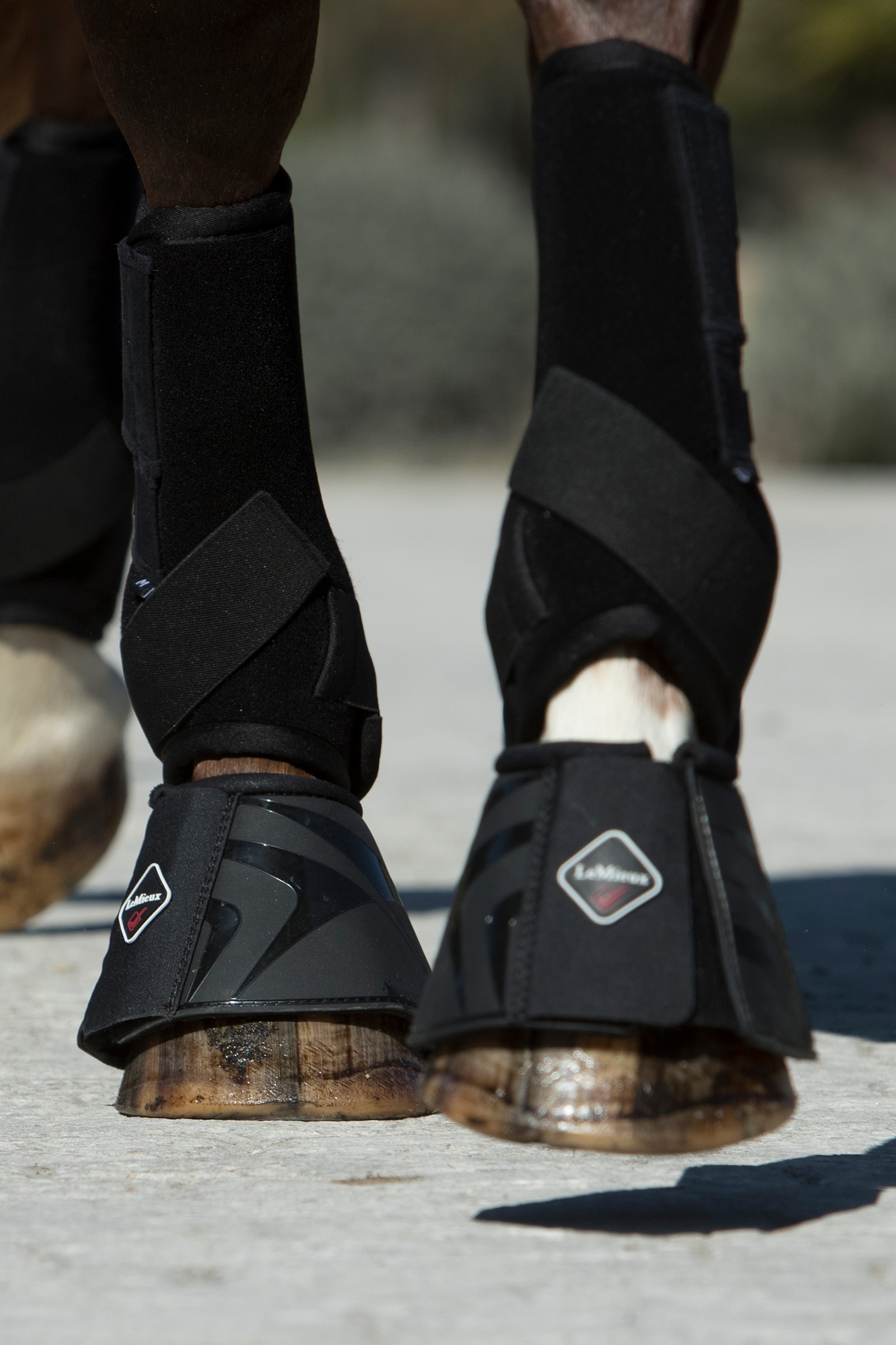 LeMieux Ultra Support Boots til heste