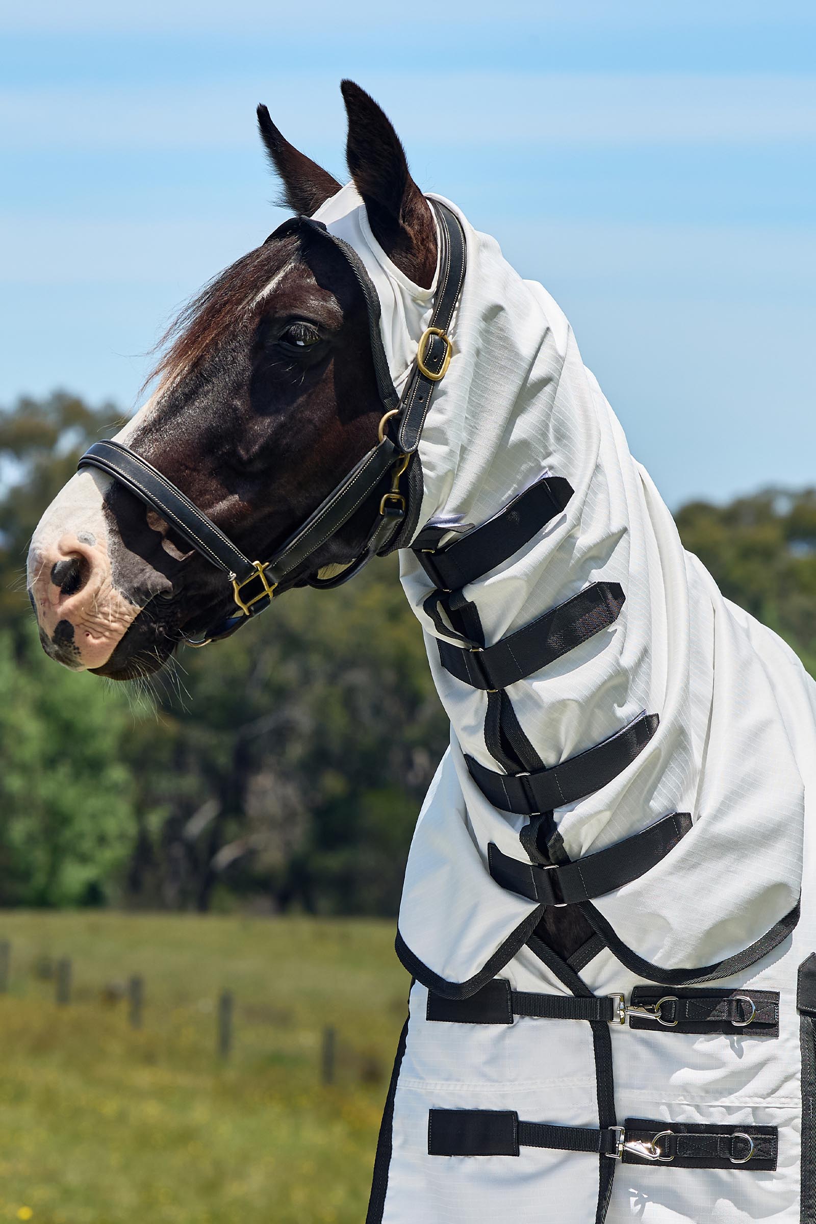 Weatherbeeta ComFiTec Sweet Itch Shield Flued&aelig;kken kombi med fast hals, 0 g  