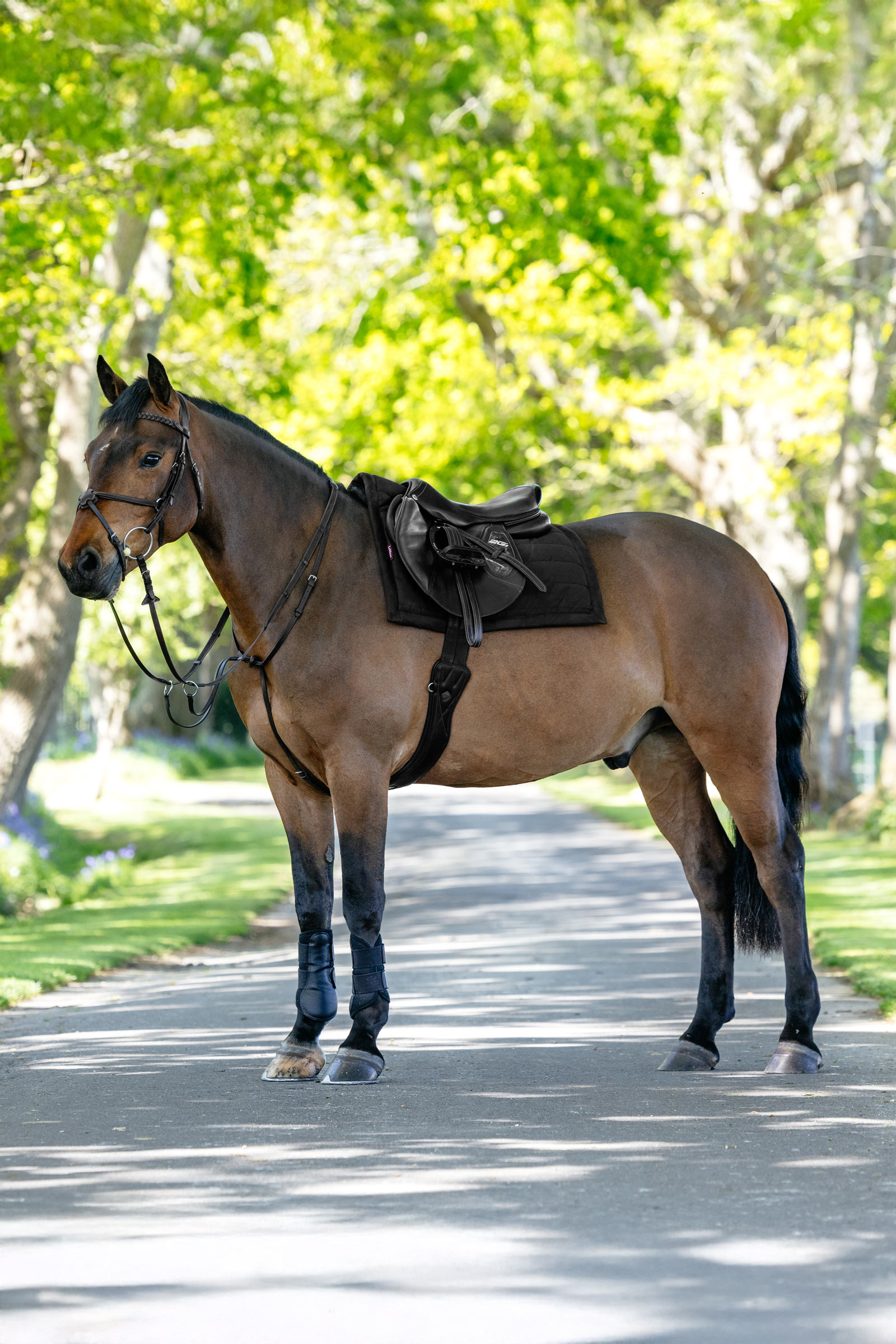 LeMieux Pillow polstret allround sadelunderlag