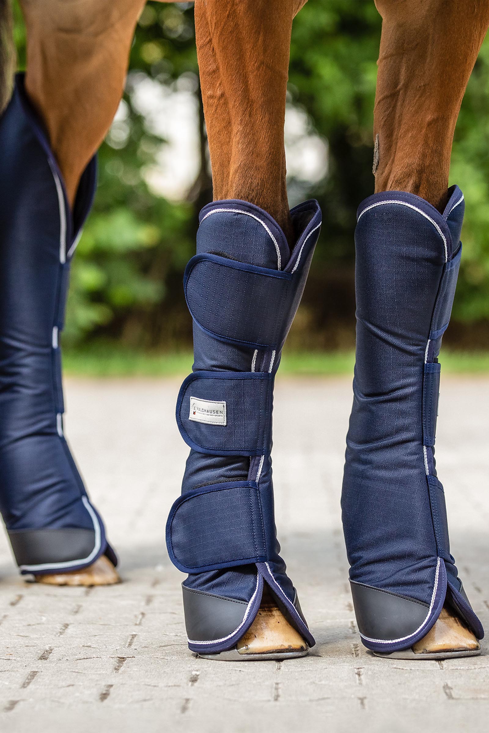 Waldhausen Comfort Line transportgamacher (s&aelig;t med 4)