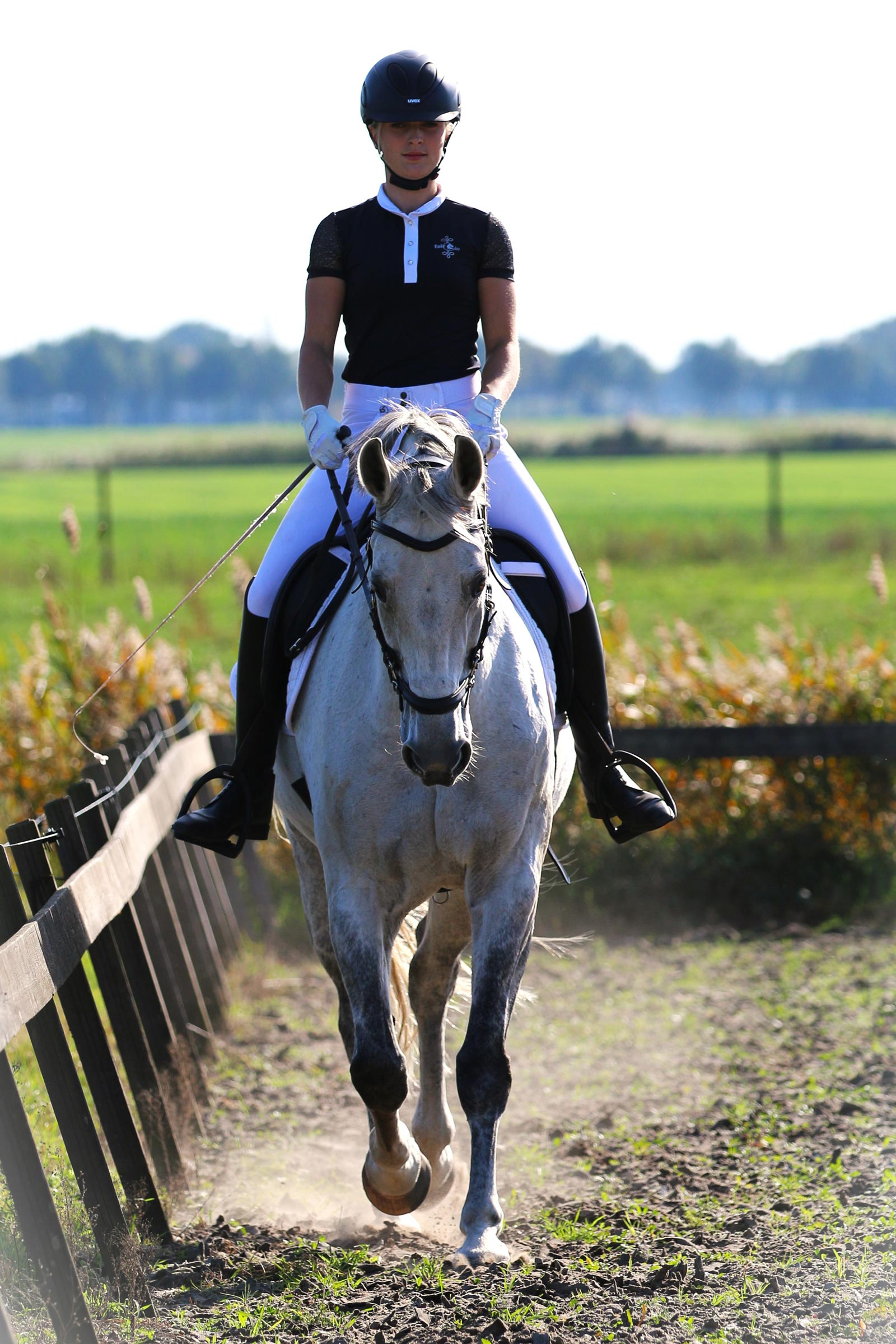 F.R.A. Freedom Riding Articles Calli Träns Hackamore med tøjler (System 2)