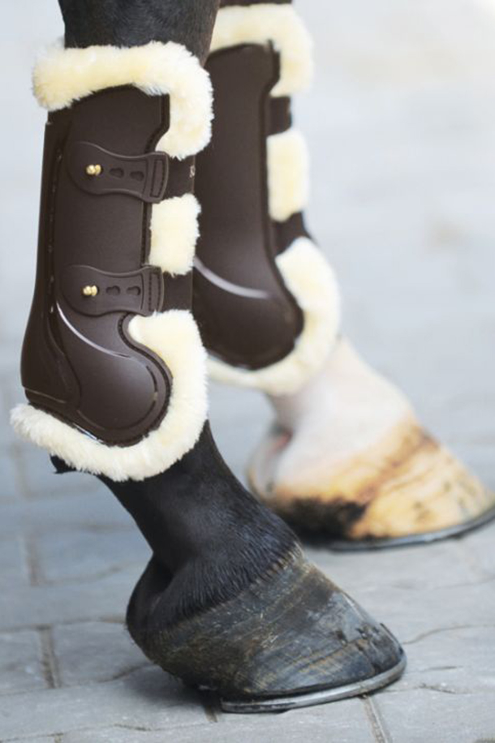 Brown Kavalkade Tendon Boots Compete 0039,n Wool