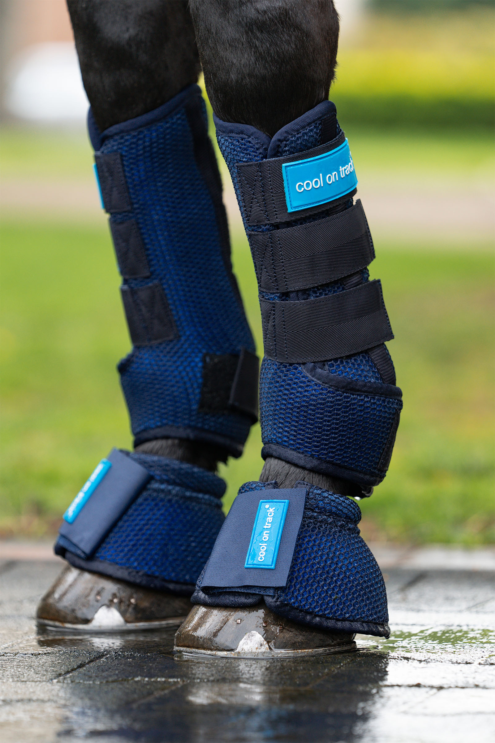 Back on Track Cool on Track boots til heste