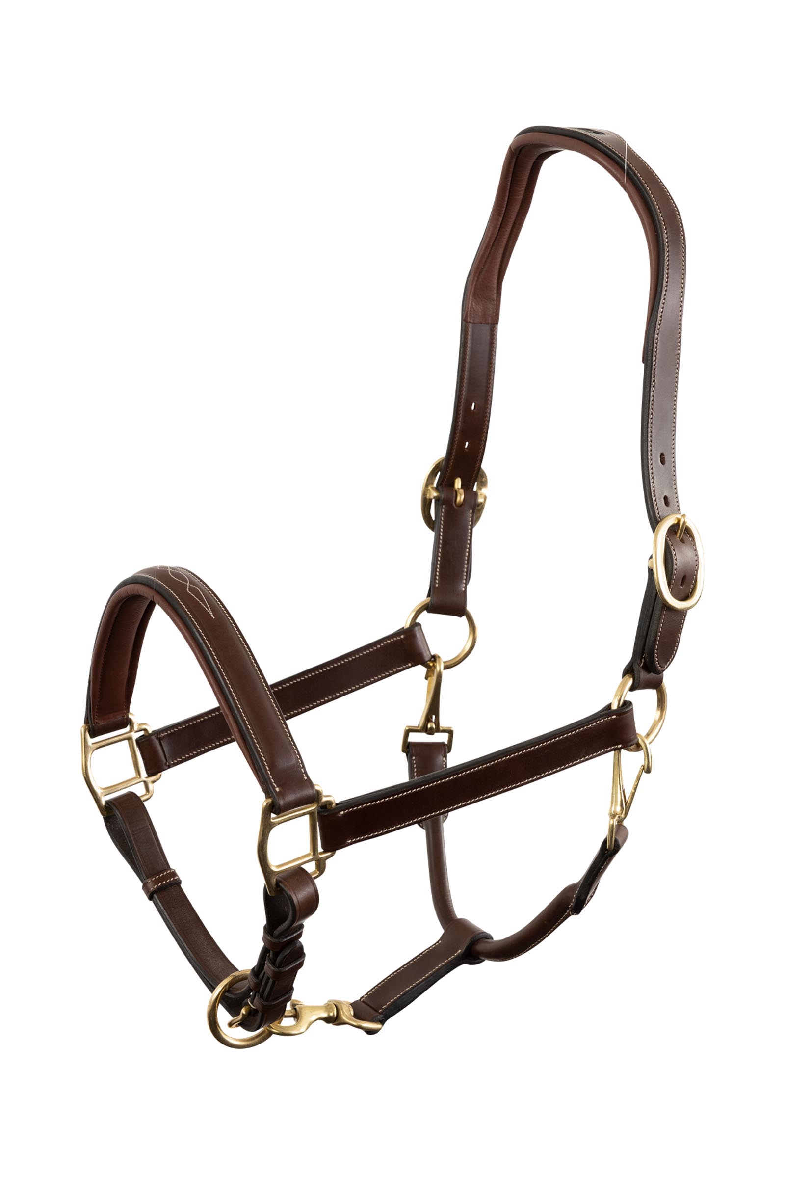 Trust Equestrian Halter San Miguel