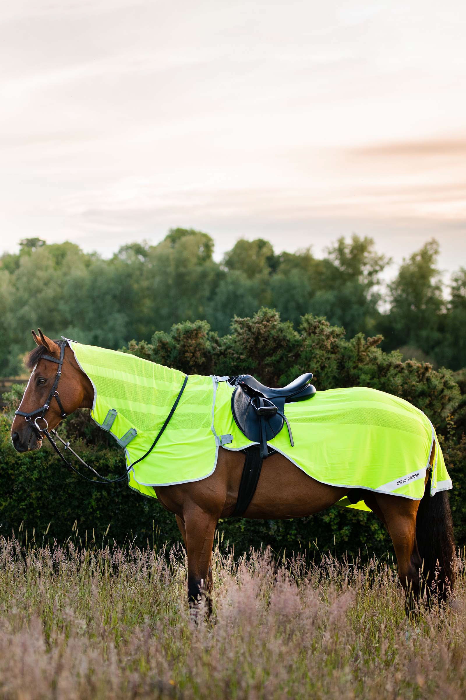 Horseware Amigo Flyrider tr&aelig;ningsark, 0 g