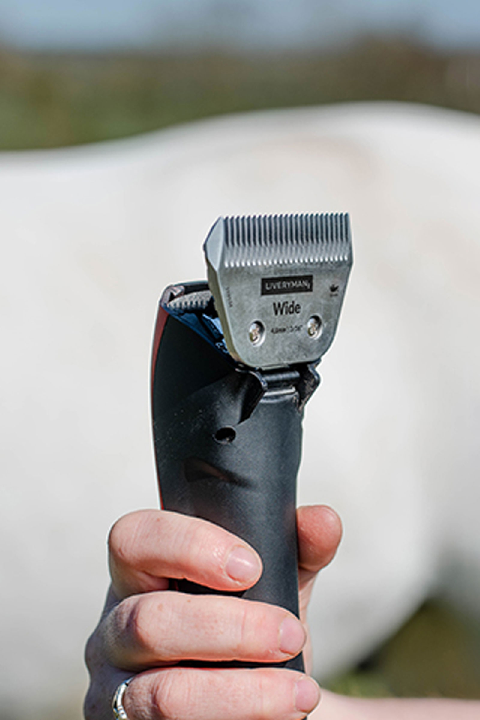 Liveryman A5 Blade Wide Fine, 2,4 mm