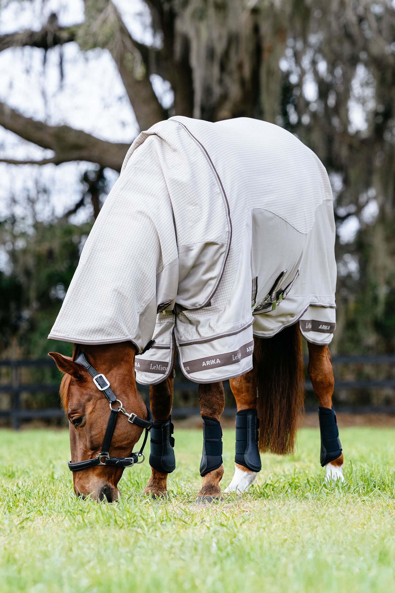 LeMieux Arika 450D Sunstopper uded&aelig;kken med aftagelig halsdel, 0 g