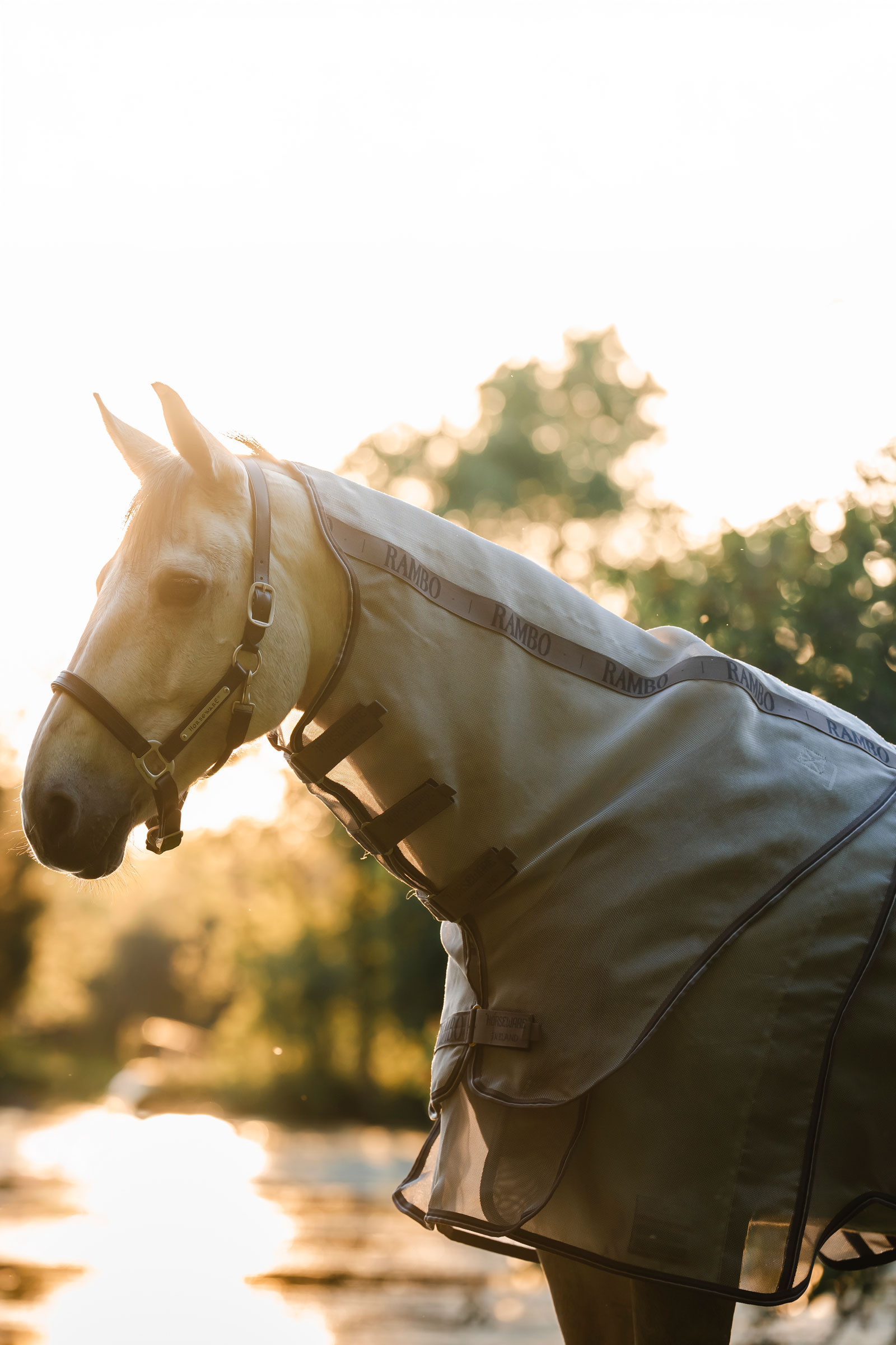 Horseware Rambo Optimo Protector Plus d&aelig;kken