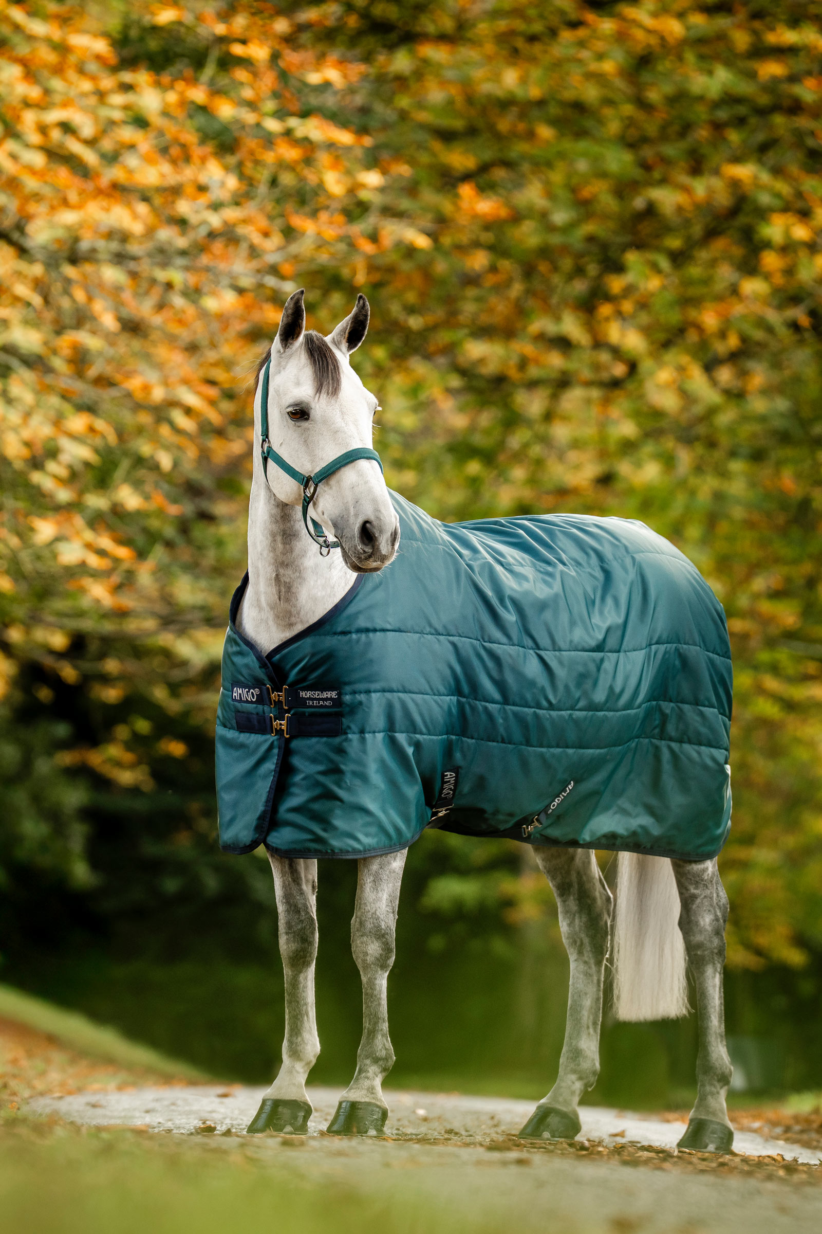 Dynasty Green/Navy/Silver Horseware Amigo Ripstop Insulator stalddækken, 200g