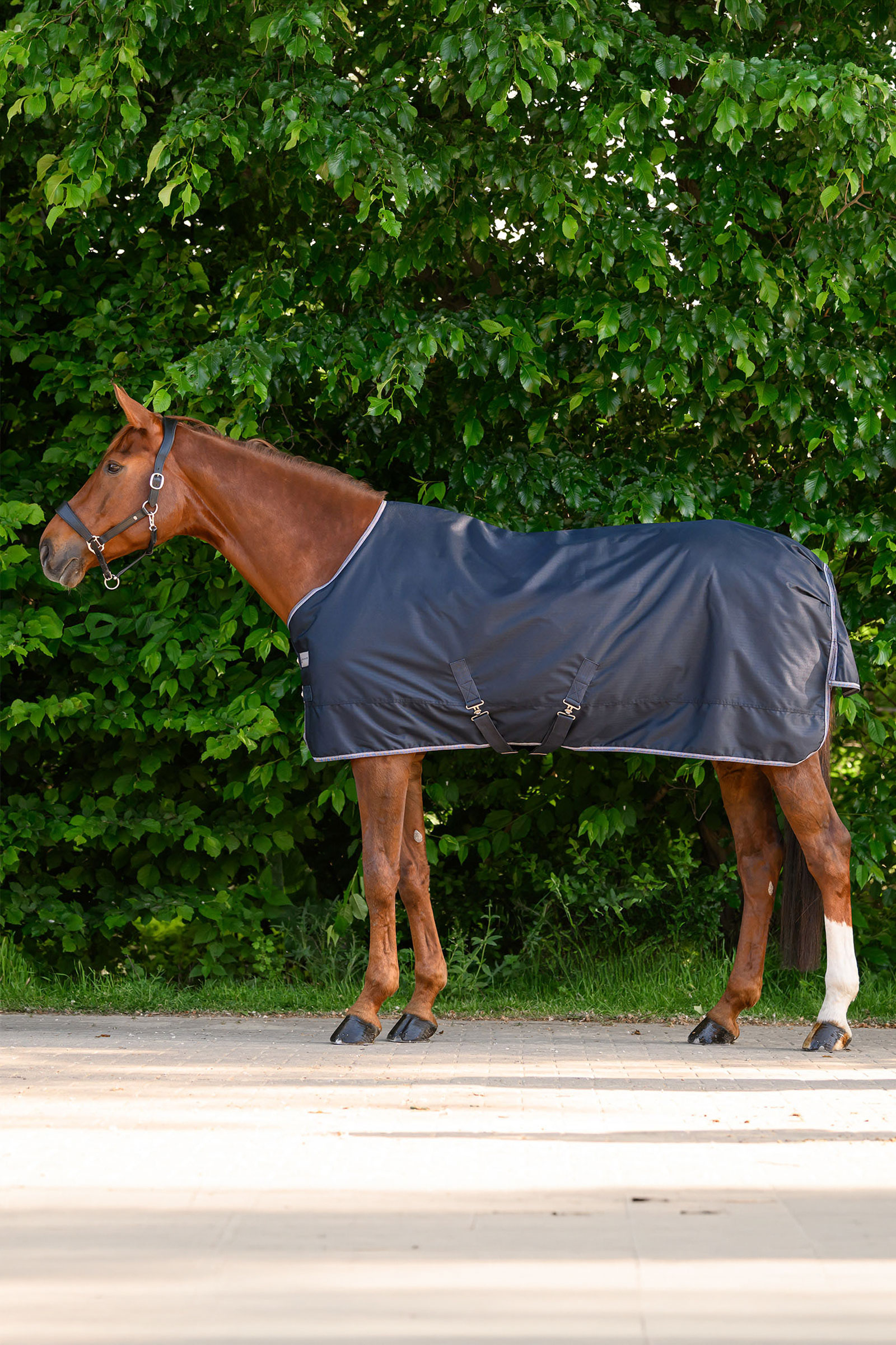 Waldhausen ECONOMIC uded&aelig;kken, 200g