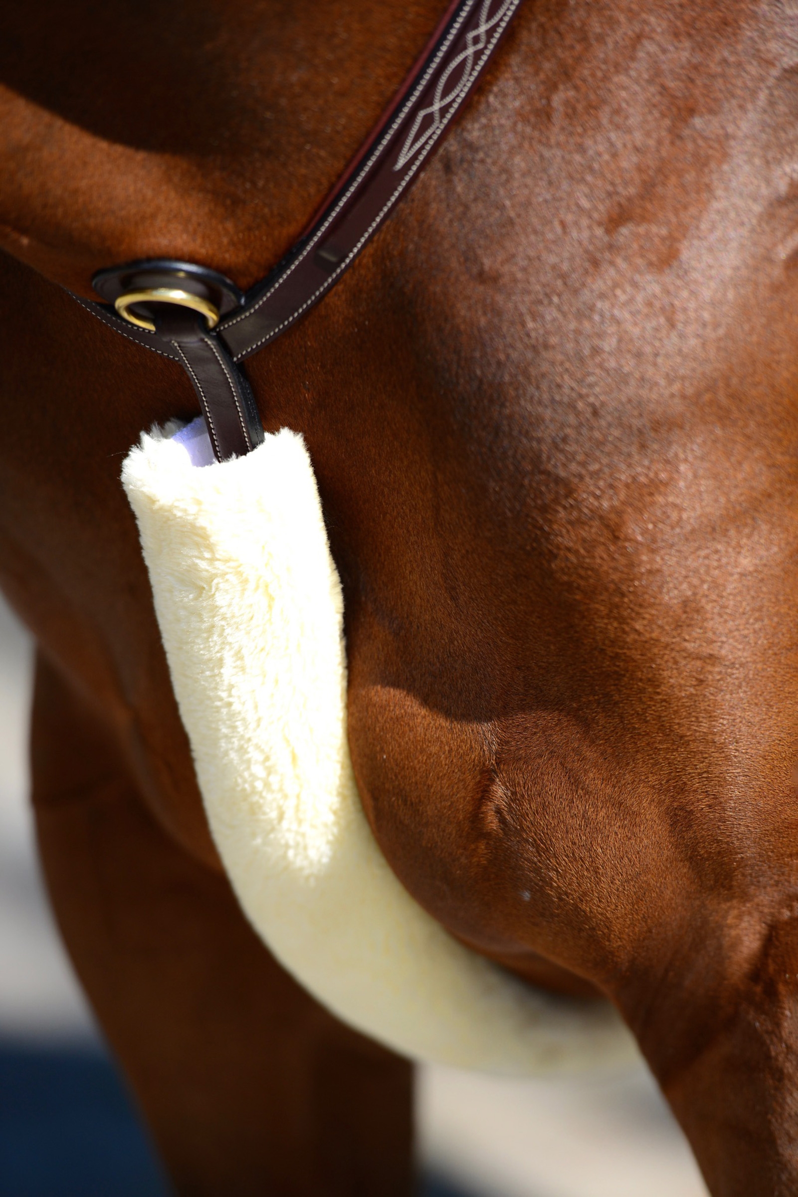 Natural Kentucky Horsewear f&aring;reskindsbeskytter til brystplade
