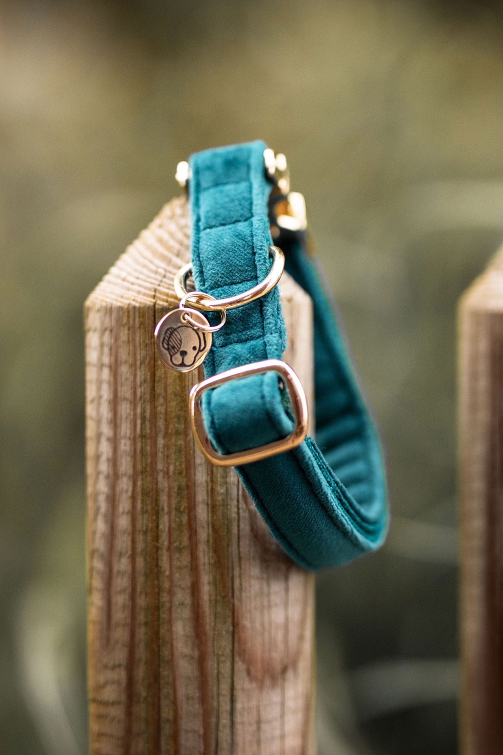 Kentucky Dogwear Dog Collar Velvet halsb&aring;nd