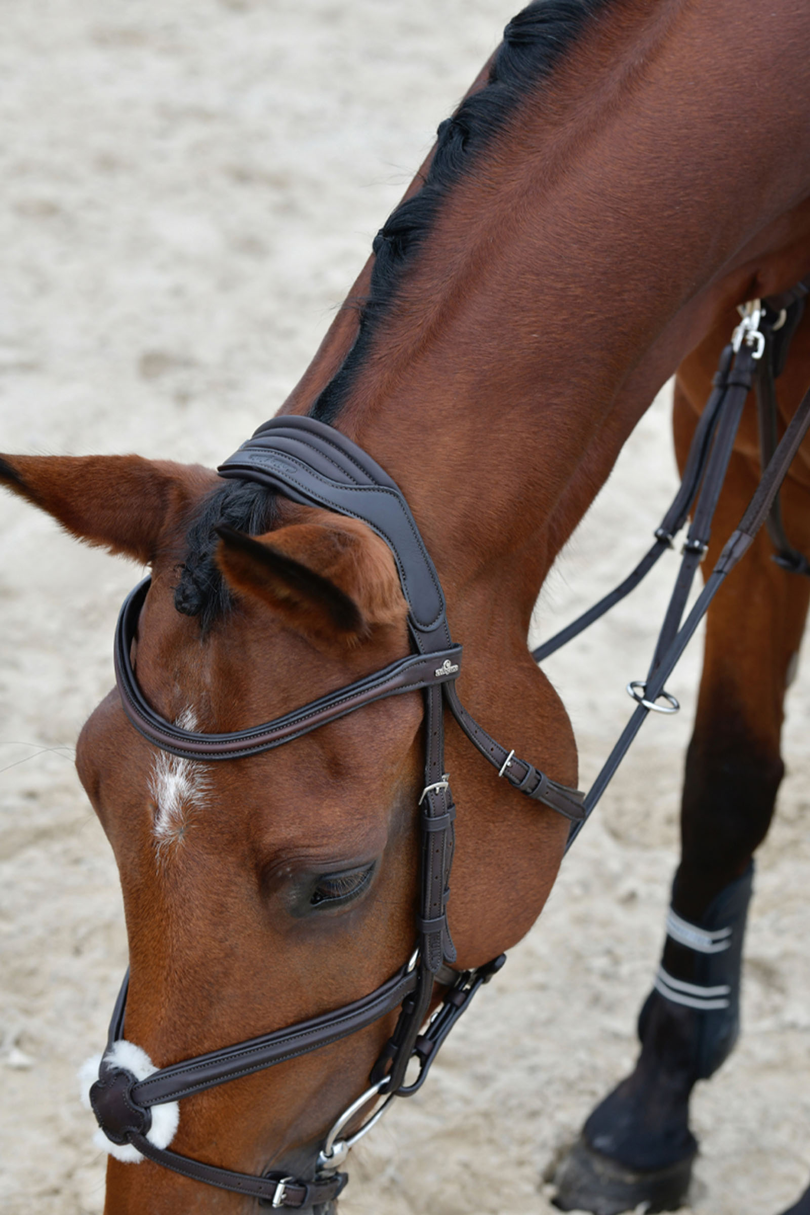 Collegiate Comfitec Opulux klassisk foret trense med mexikansk næsebånd