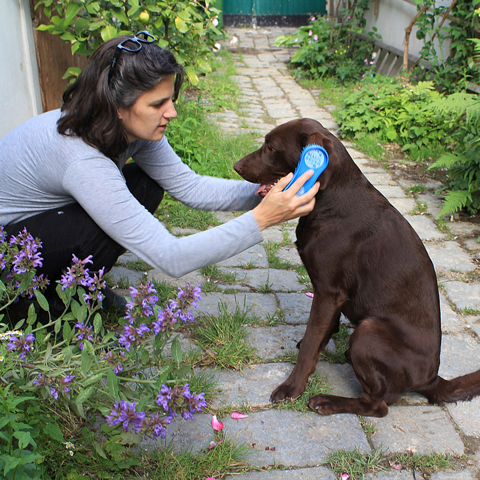 Kerbl Magic Hundeb&oslash;rste