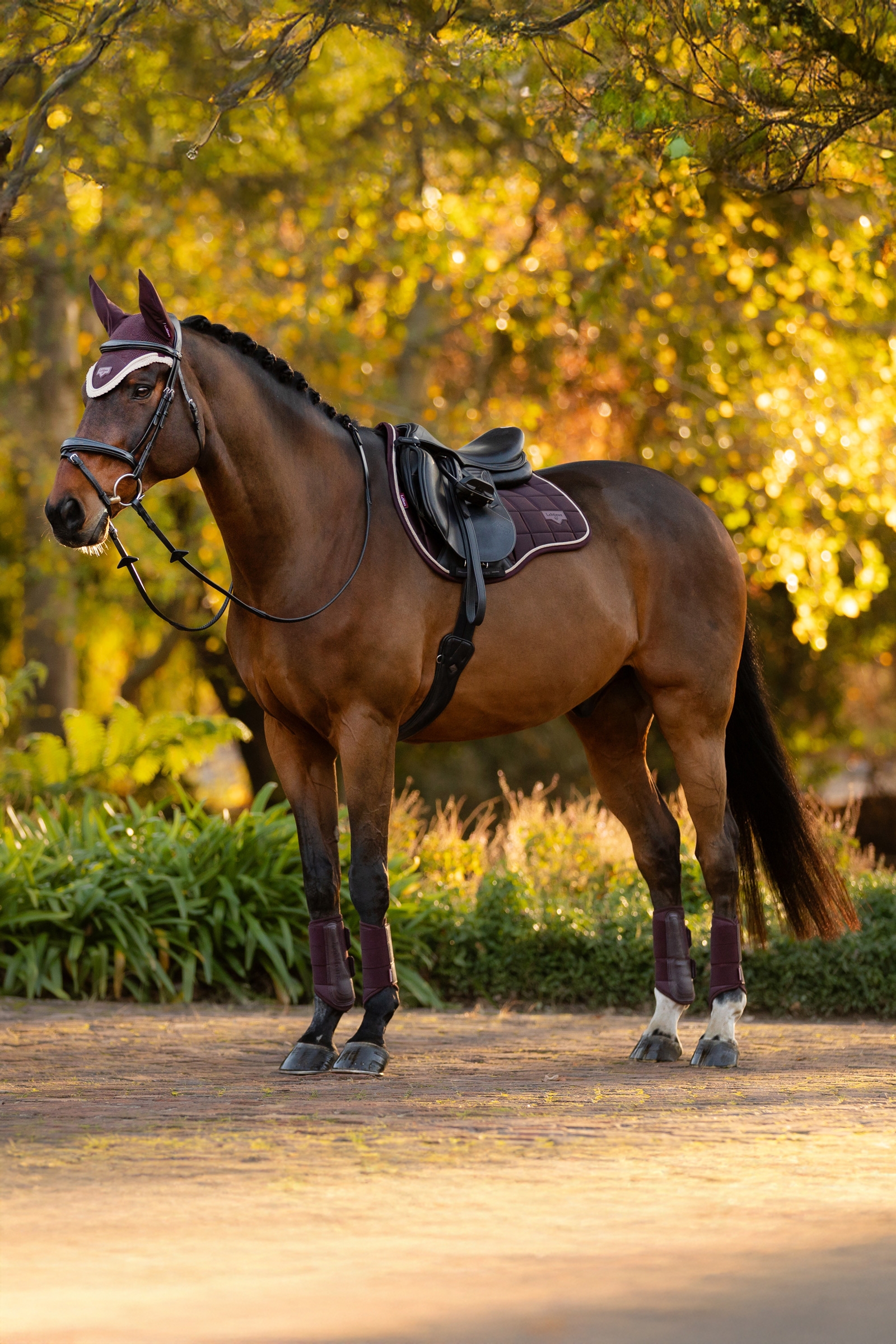 LeMieux Loire klassisk firkantet allround sadelunderlag