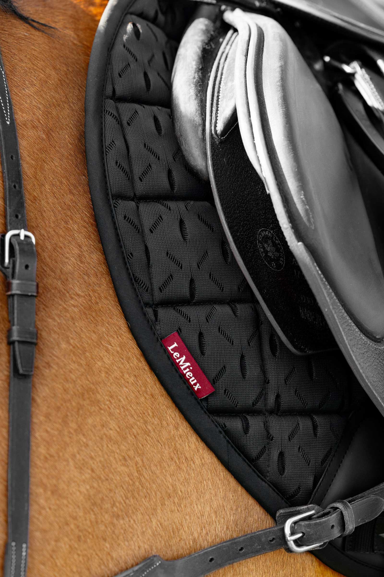 LeMieux 3D Mesh Self-Cool Eurojump Springunderlag