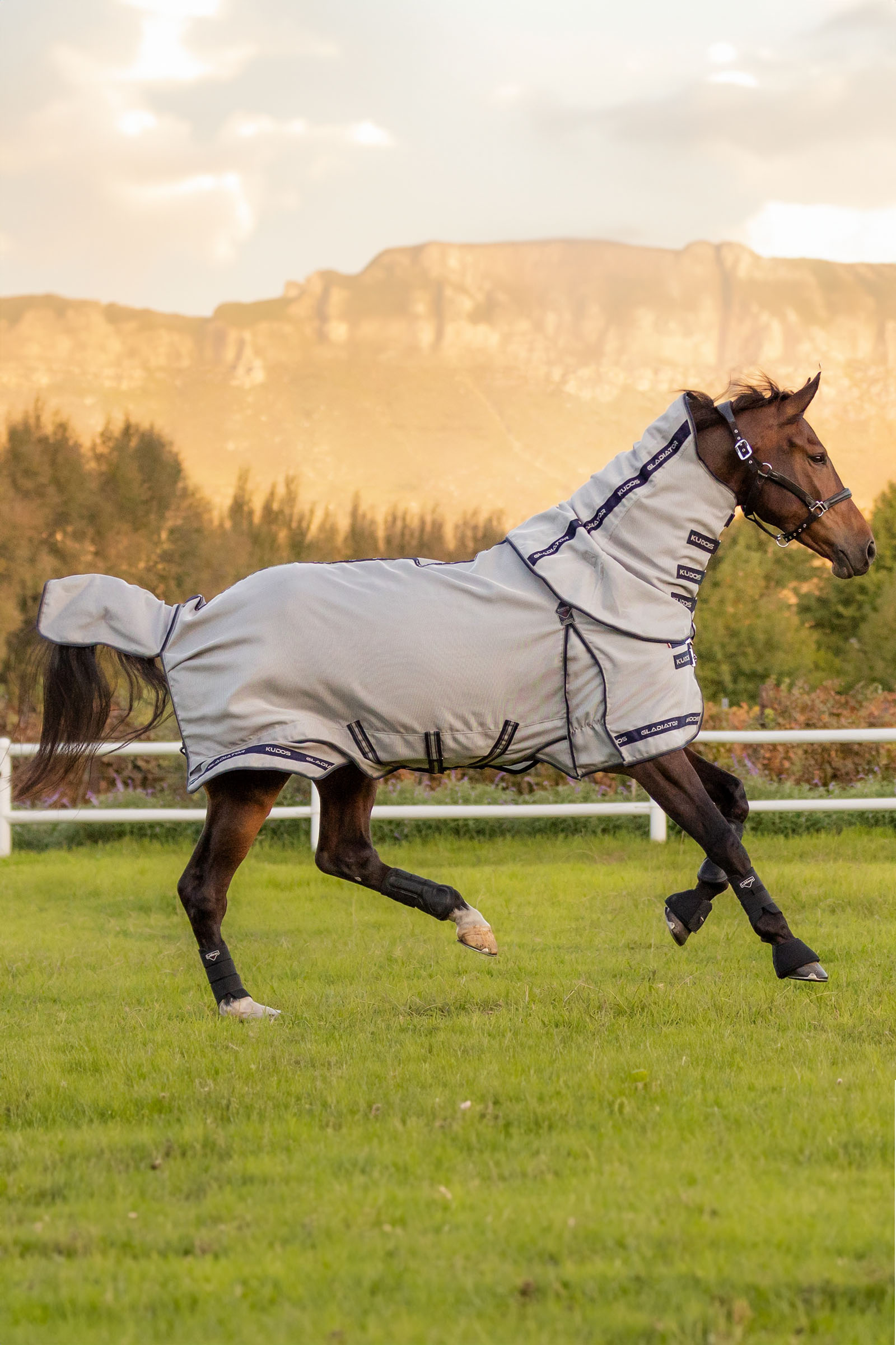 LeMieux Kudos Gladiator flued&aelig;kken