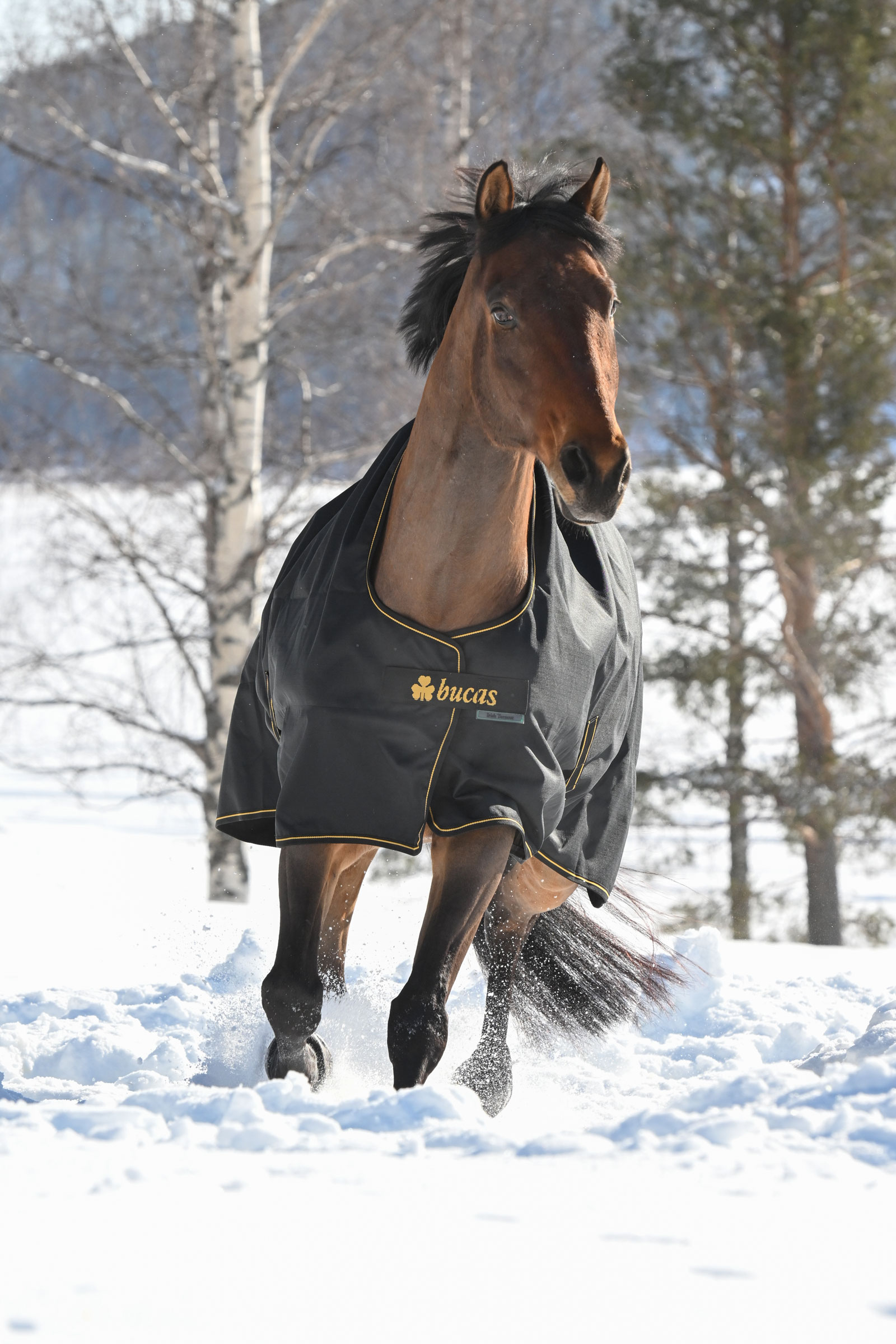 Bucas Irish uded&aelig;kken, 300g