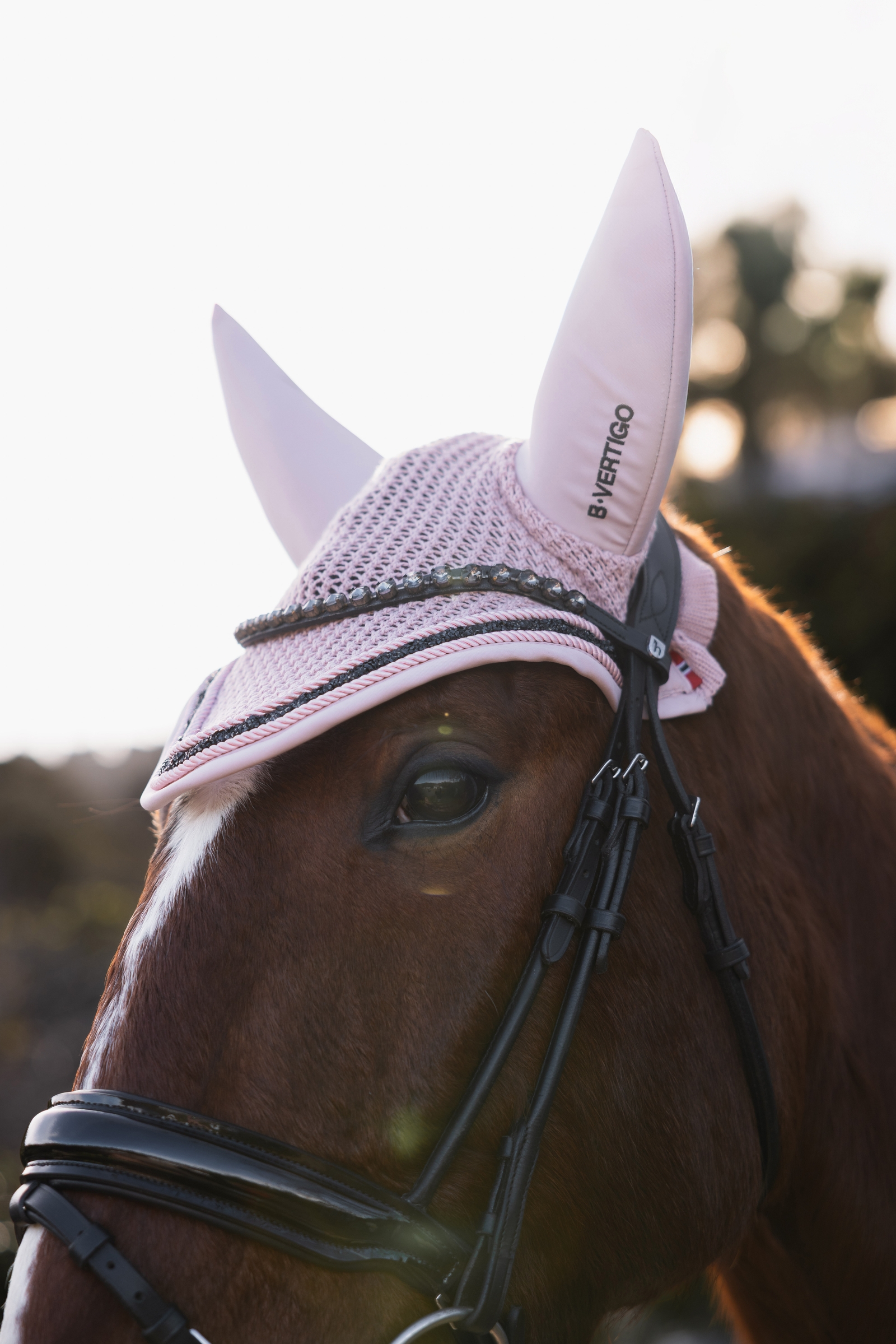 B Vertigo Daylight flueh&aelig;tte  