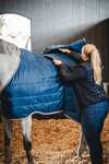 Horseware Ionic Therapy Foring 50g