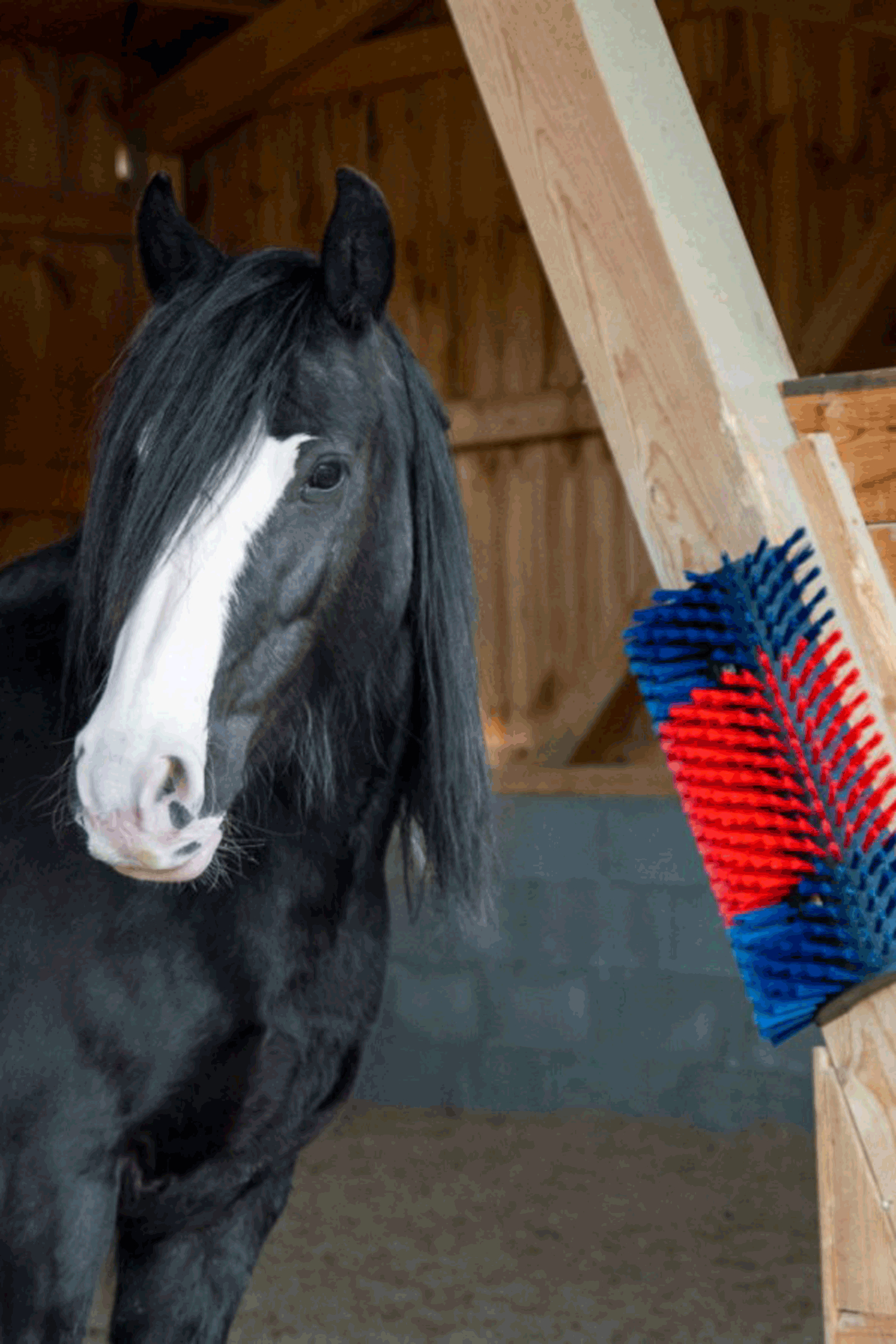 Kerbl XL kløbørste, rund