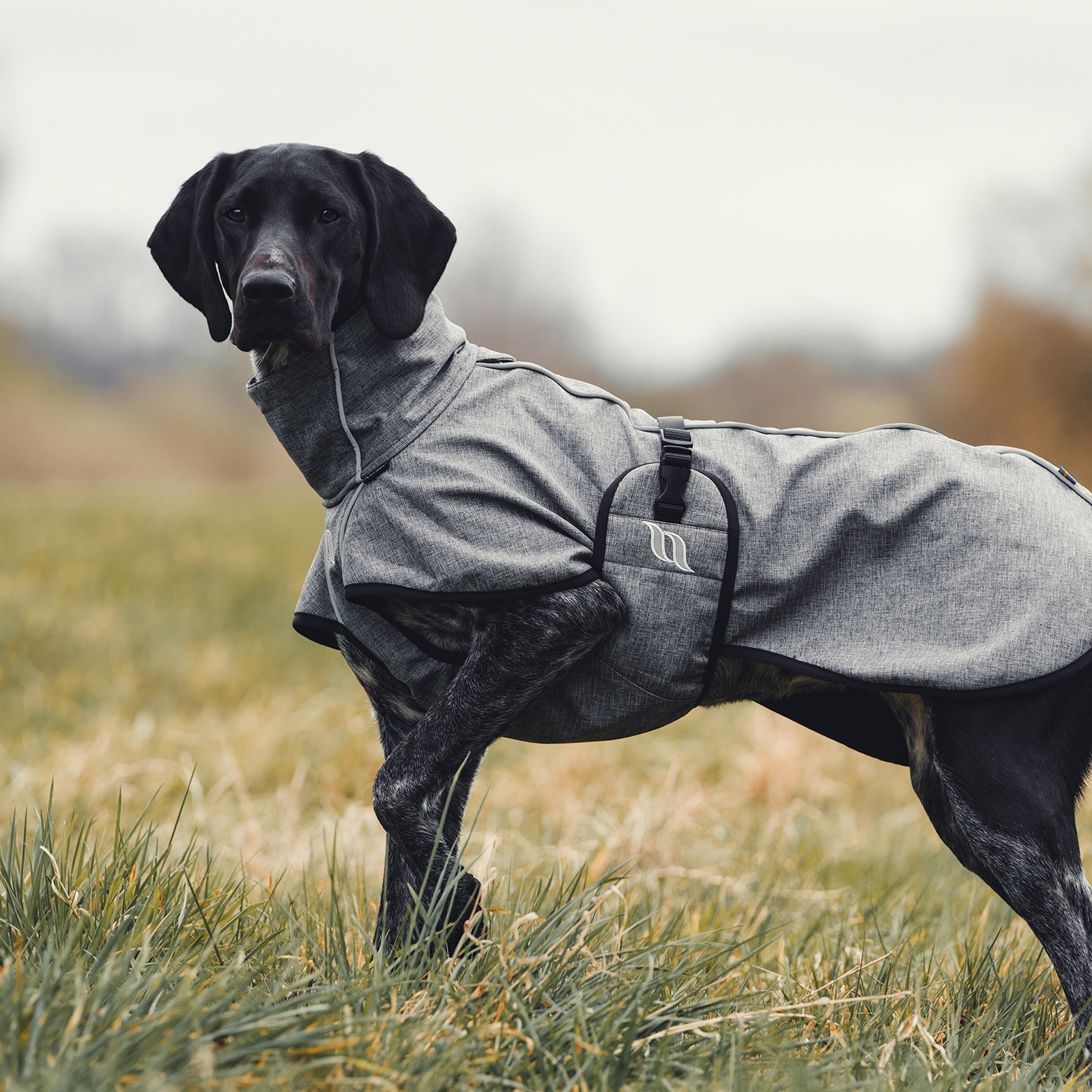 Back on Track Nella All-Round Dog Coat, 25-35cm