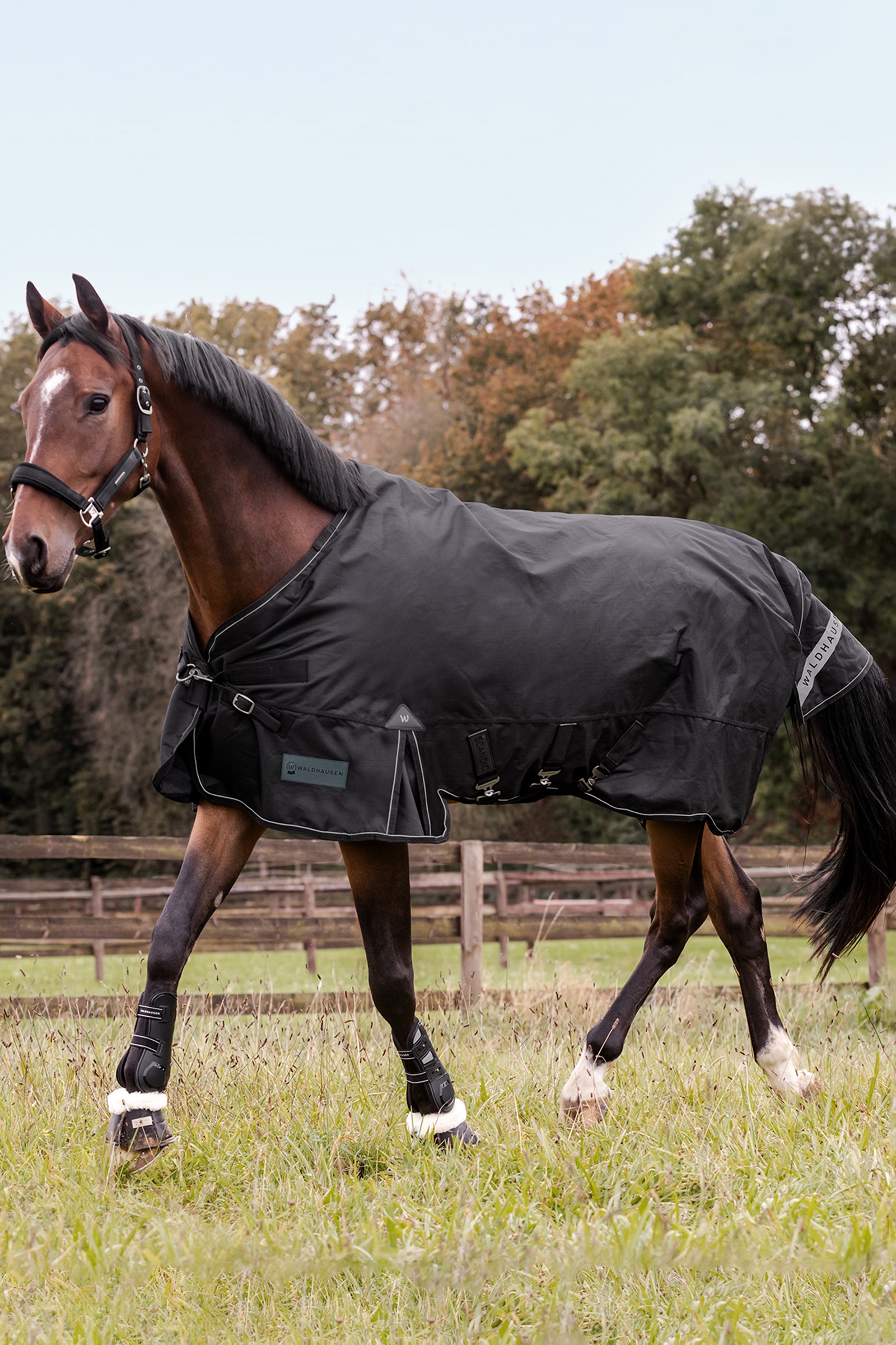 Waldhausen udend&oslash;rs t&aelig;ppe Scandic flerlags 150g/50g