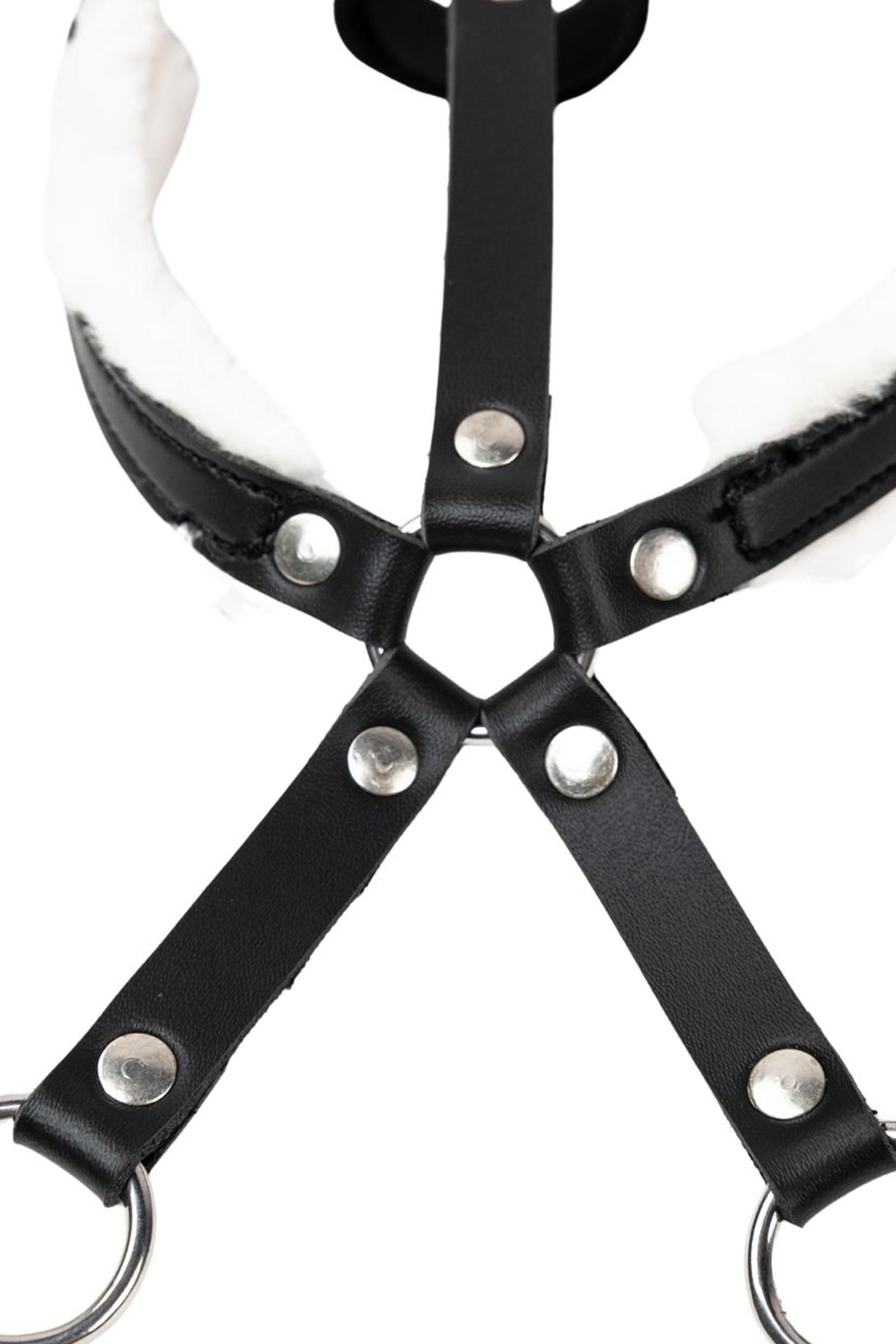 My Hobby Horse martingal