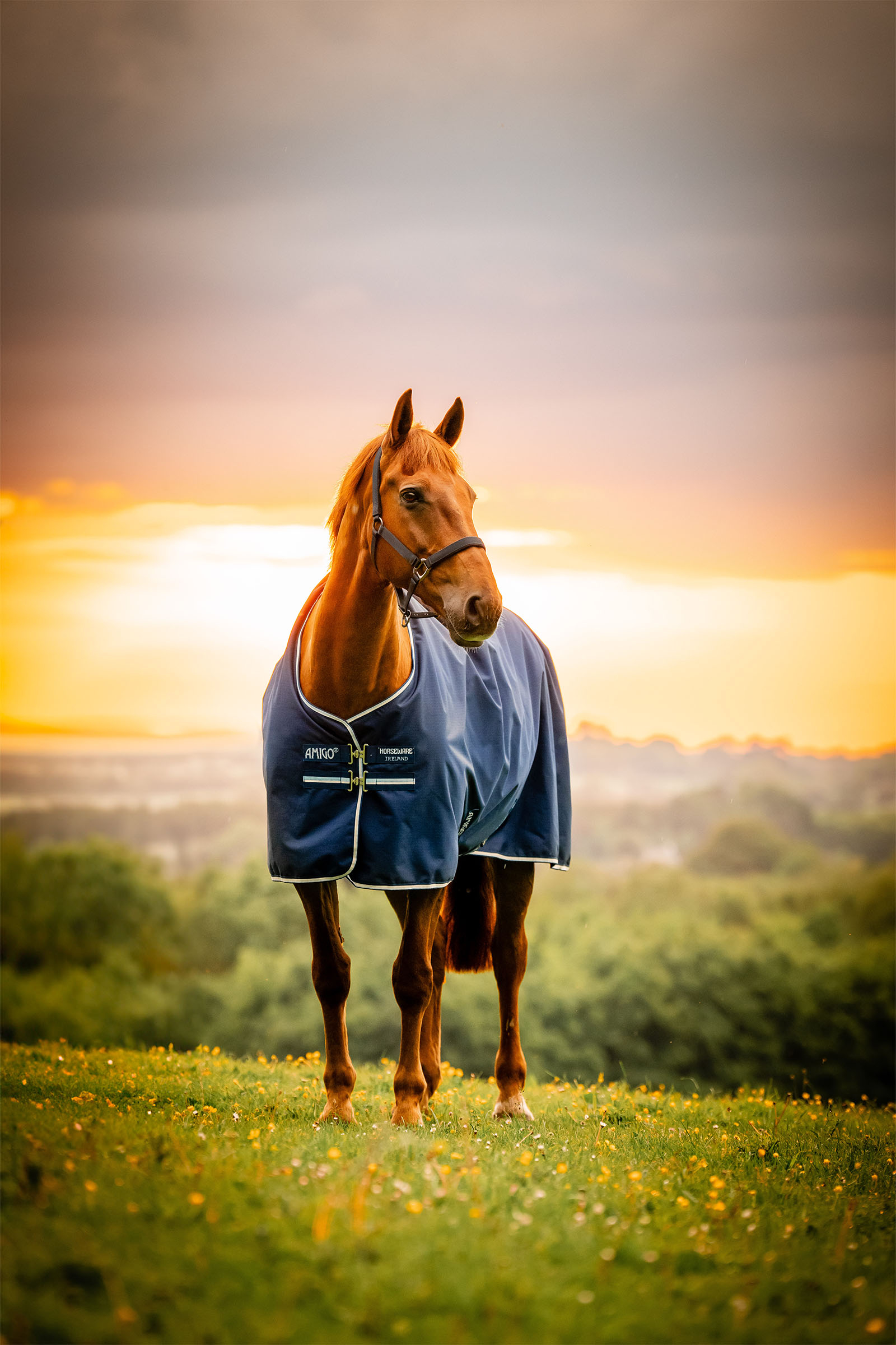 Horseware Amigo Ripstop Uded&aelig;kken 900D, 0g