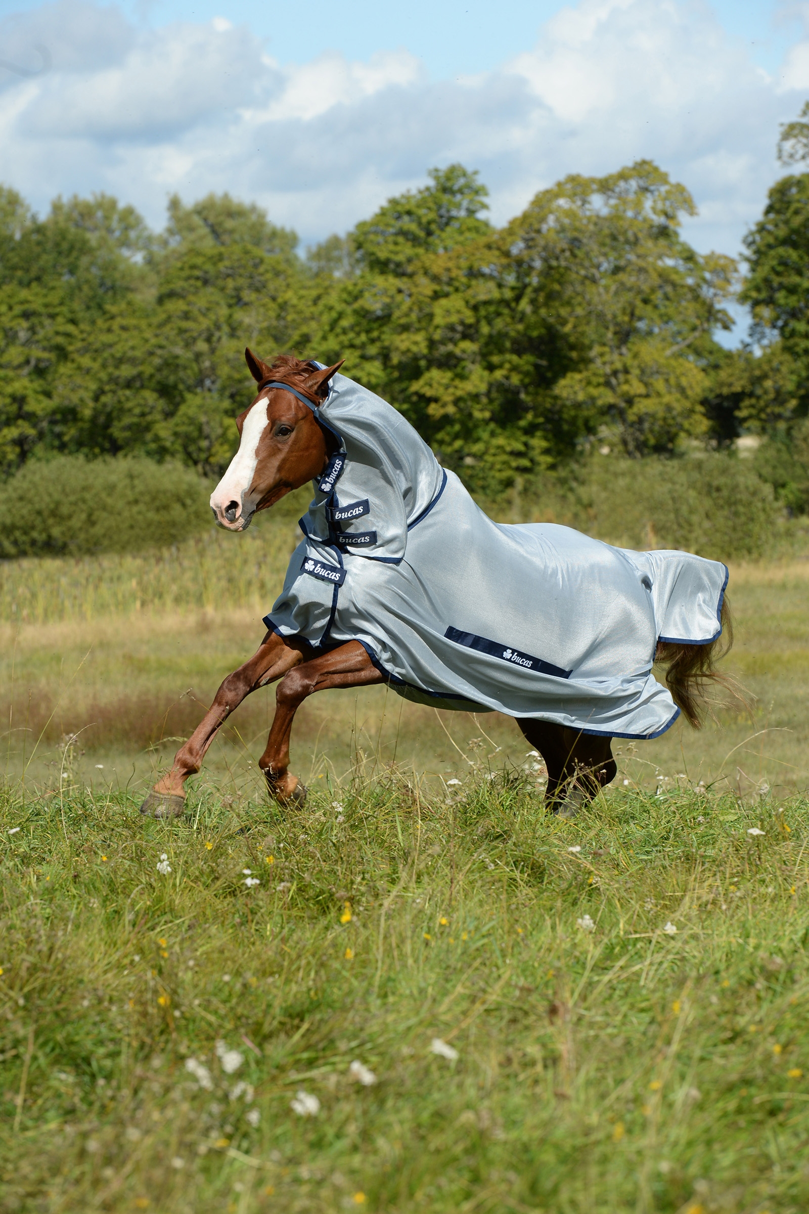 Buzz-Off halsd&aelig;kken, pony