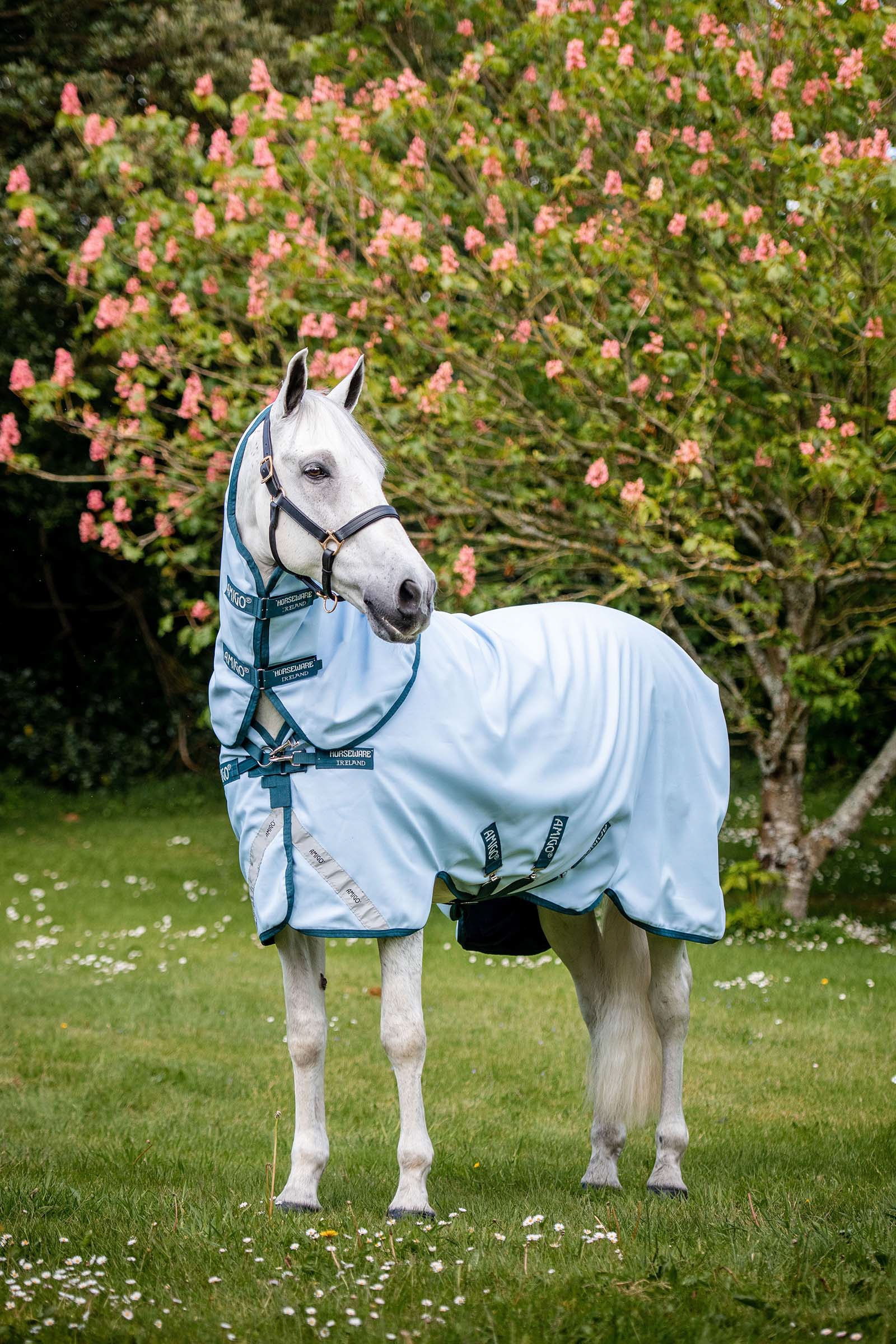 Horseware Amigo Plant Dye overgangsdækken, 50 gr